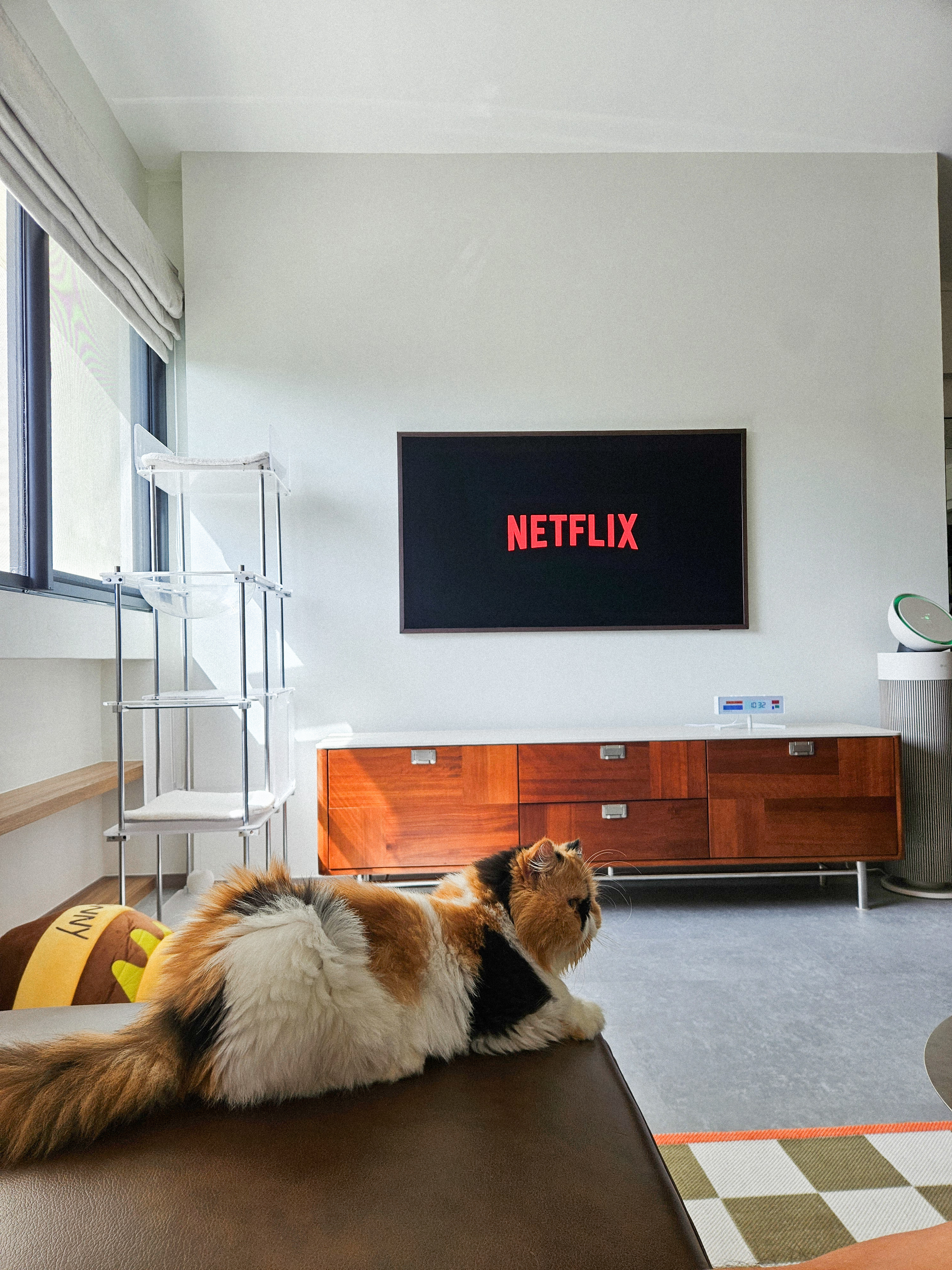 Migraine Sufferers: Why You Need THE FRAME TV 55”
