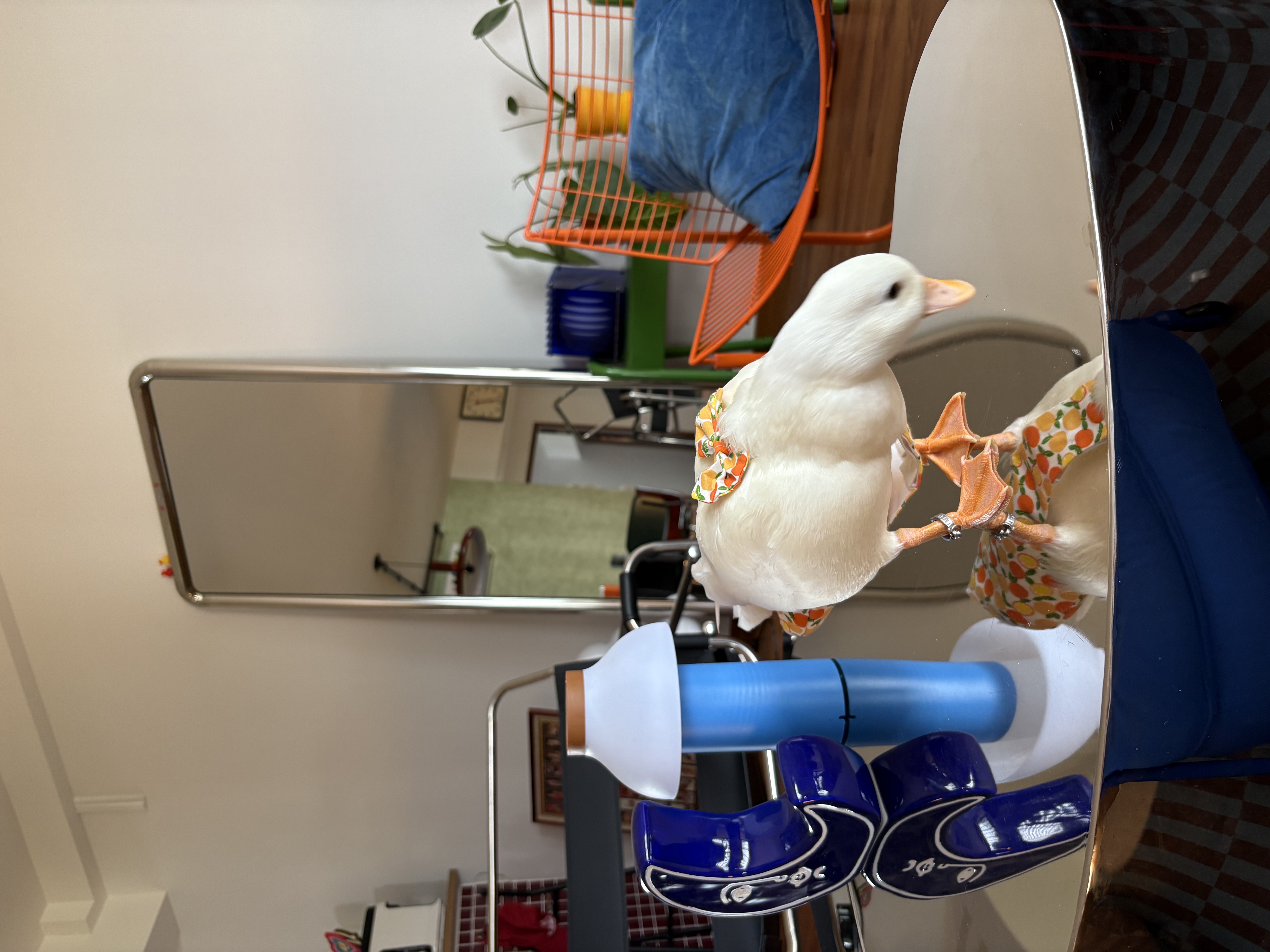 Dopey the duck’s favorite home decor pieces!