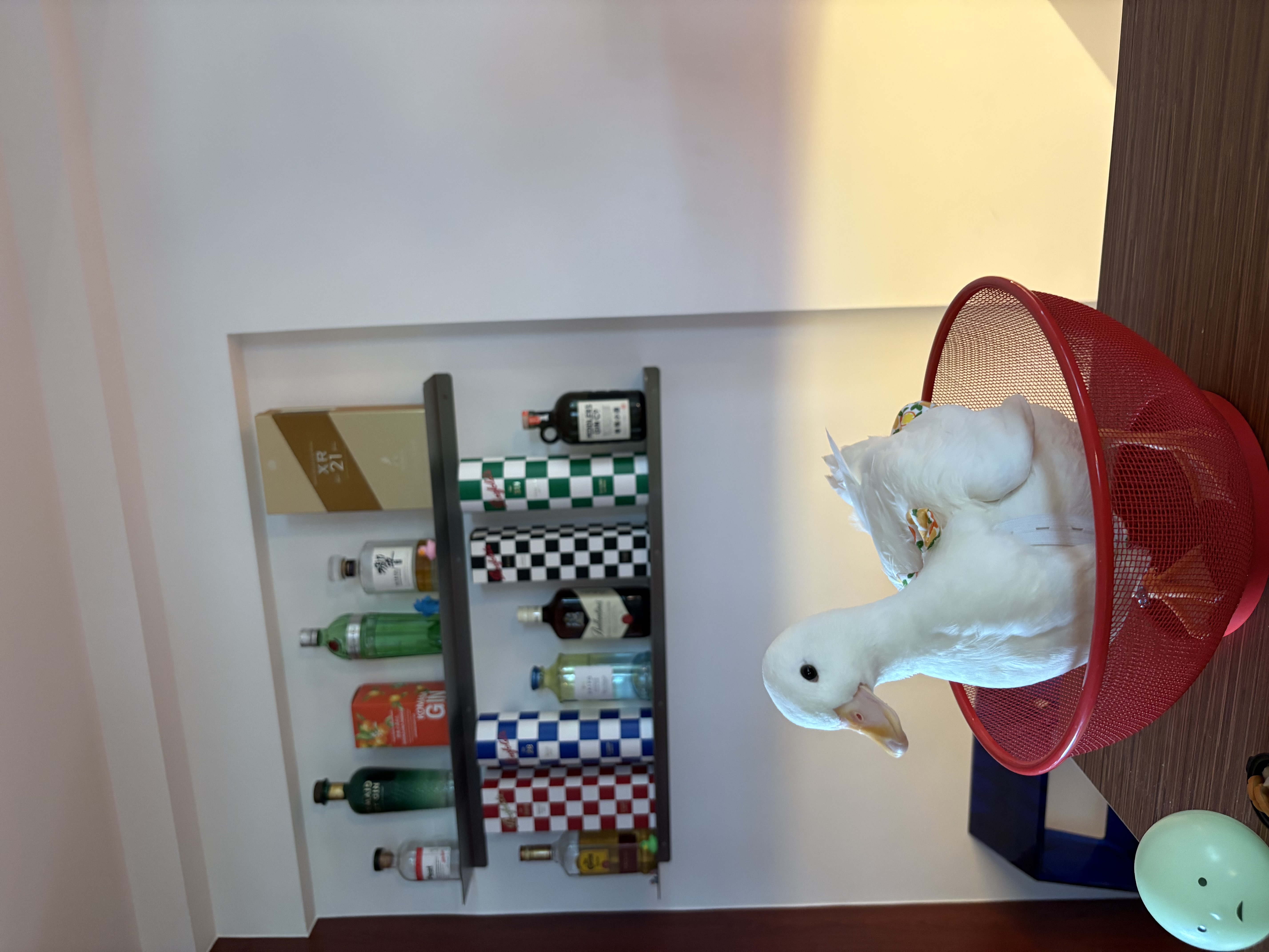 Dopey the duck’s favorite home decor pieces!