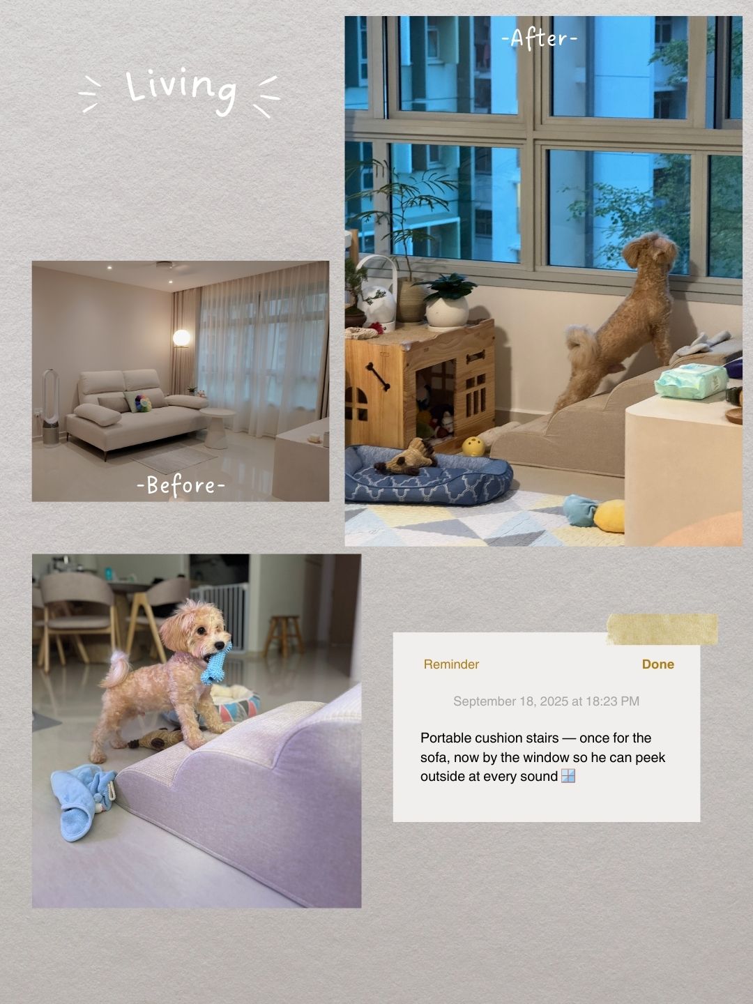 Life with Toffy 🐶 | How Our Home Became Warmer with Puppy