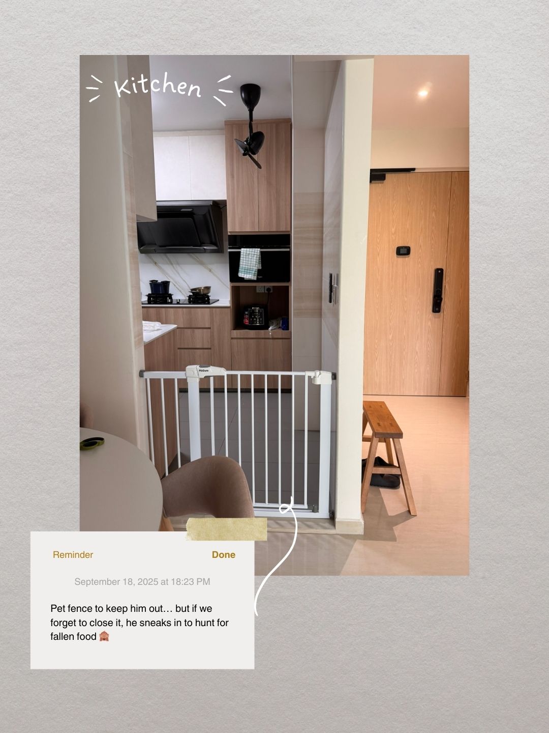 Life-with-Toffy-🐶-|-How-Our-Home-Became-Warmer-with-Puppy