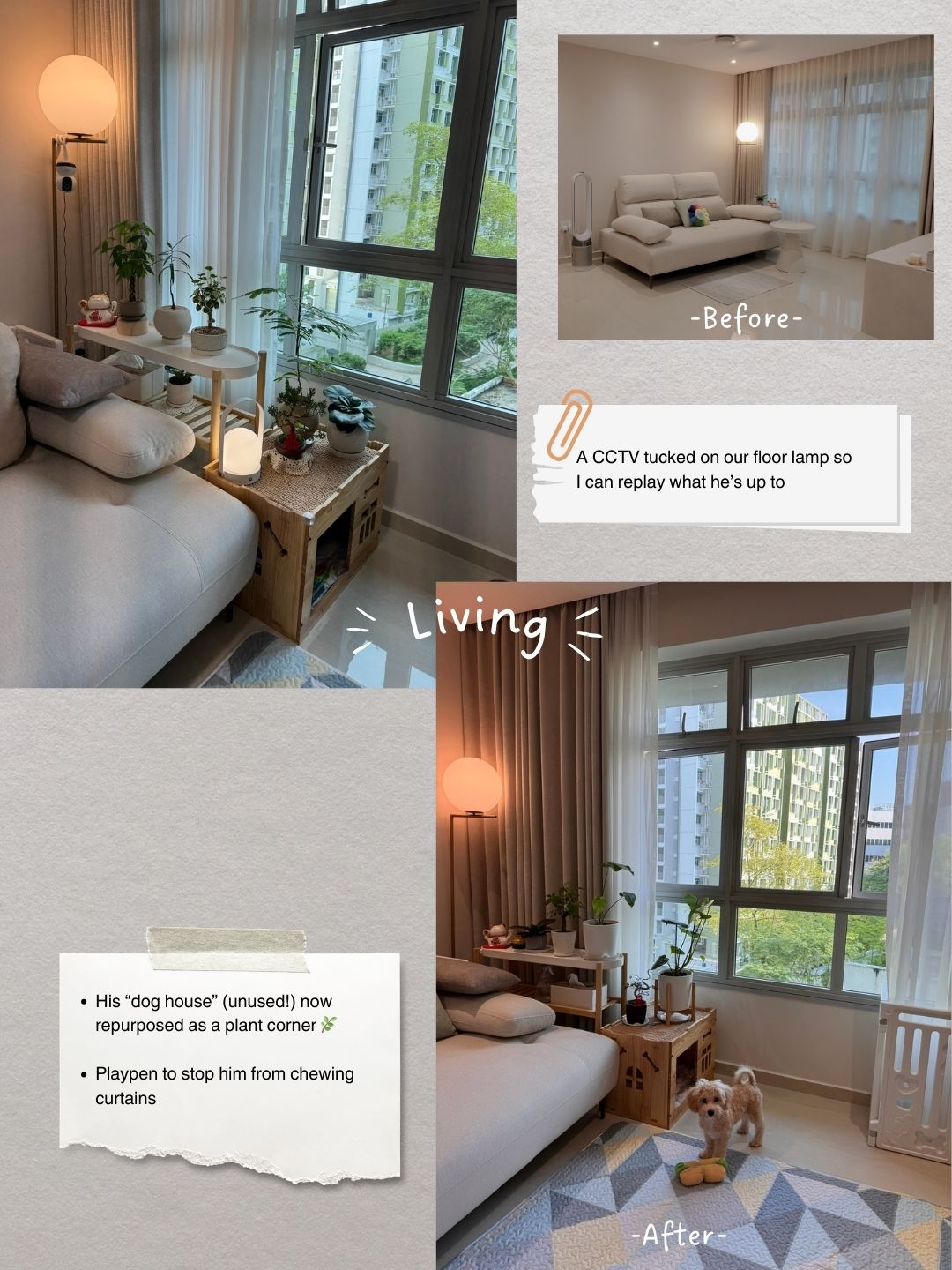 Life-with-Toffy-🐶-|-How-Our-Home-Became-Warmer-with-Puppy