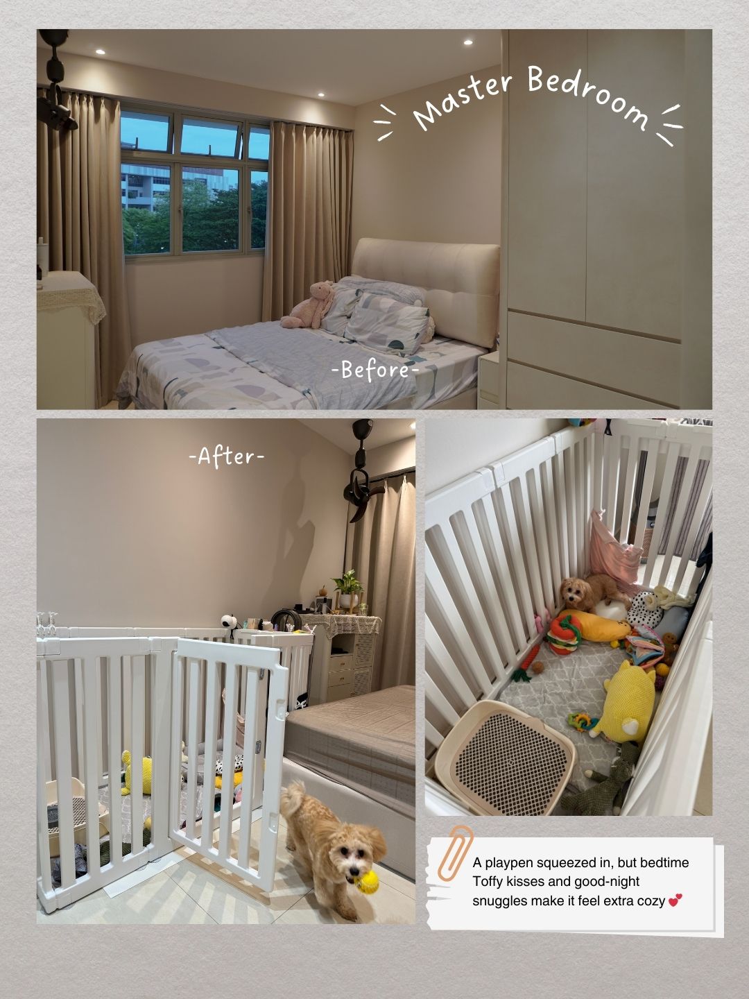 Life with Toffy 🐶 | How Our Home Became Warmer with Puppy