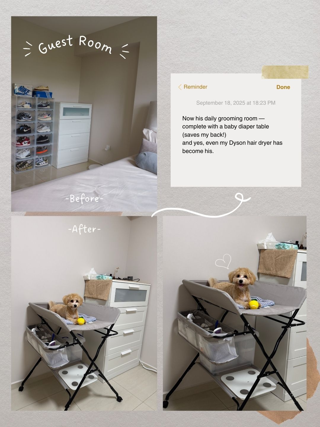 Life-with-Toffy-🐶-|-How-Our-Home-Became-Warmer-with-Puppy