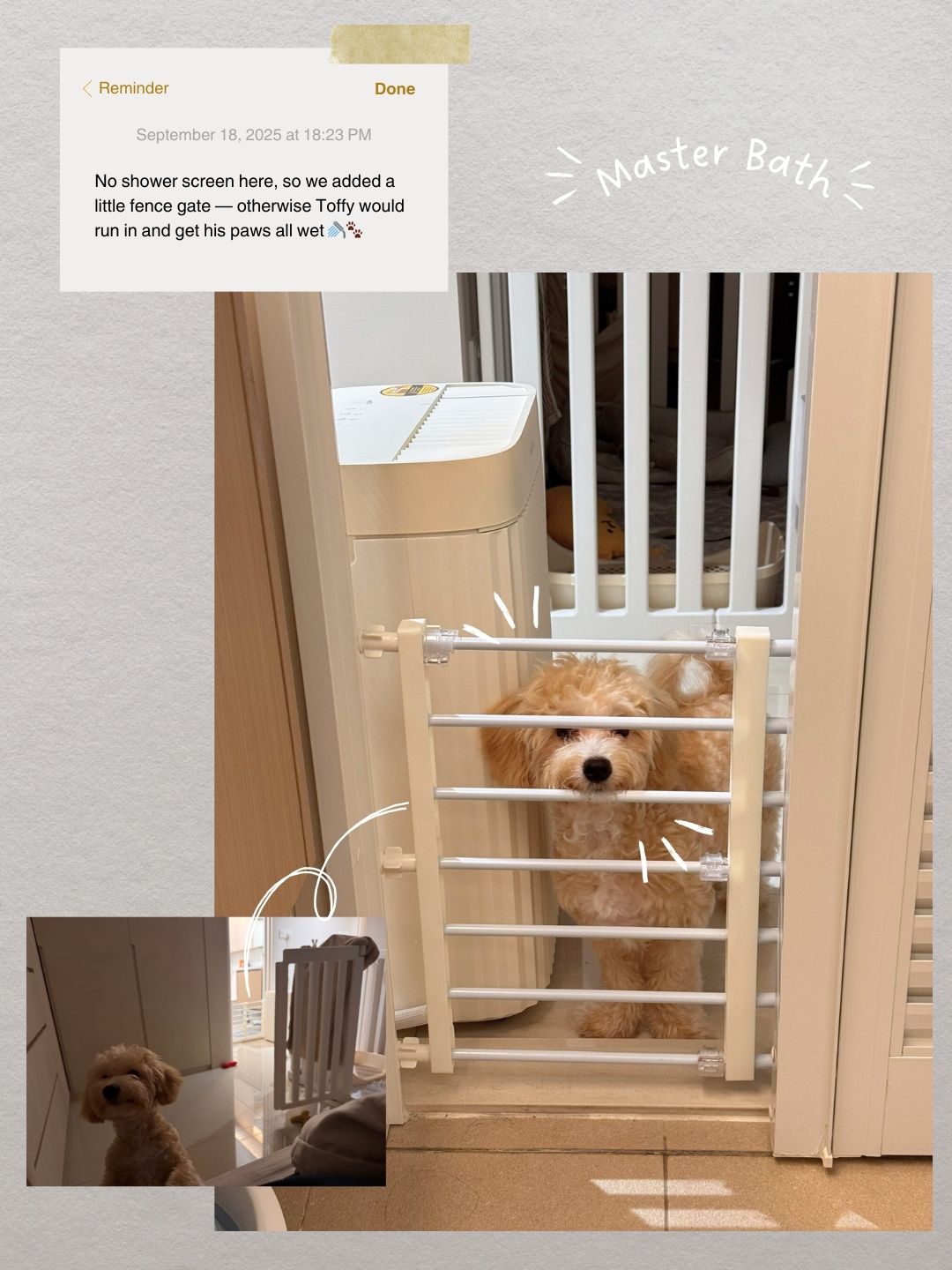 Life-with-Toffy-🐶-|-How-Our-Home-Became-Warmer-with-Puppy