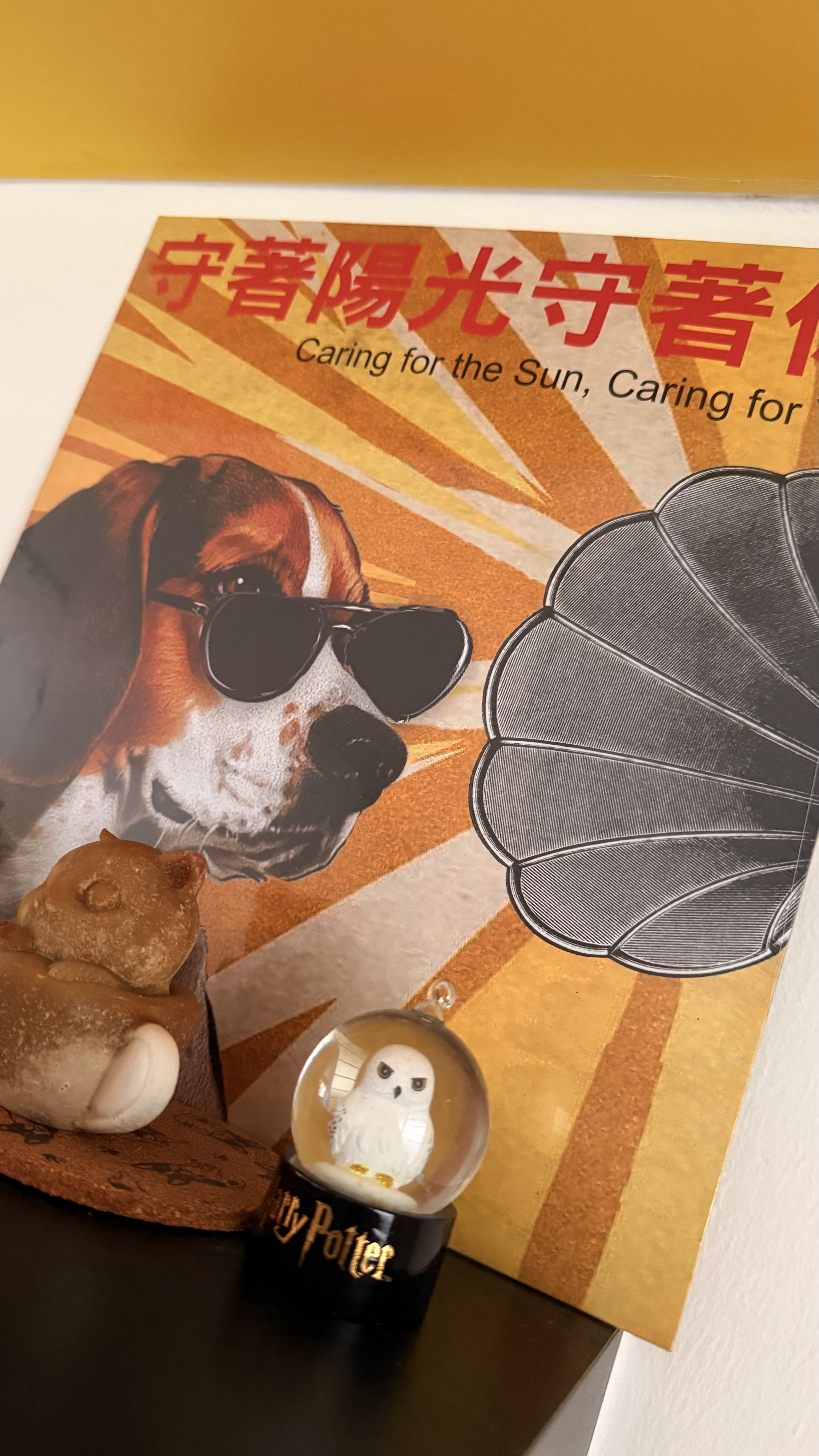 Quirky quirks for the house