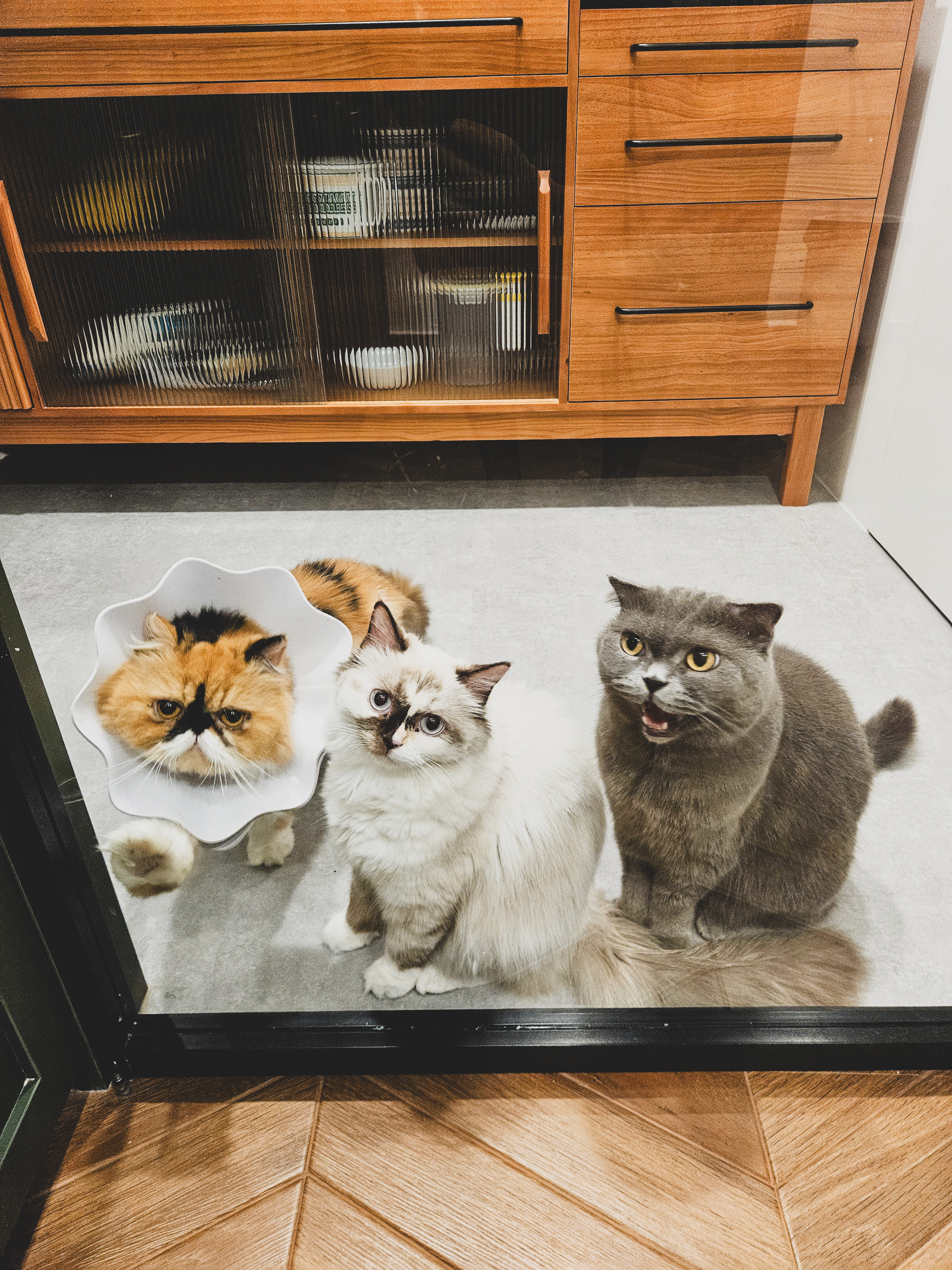 We-Commissioned-Our-FIRST-Family-Portrait!-🖼️