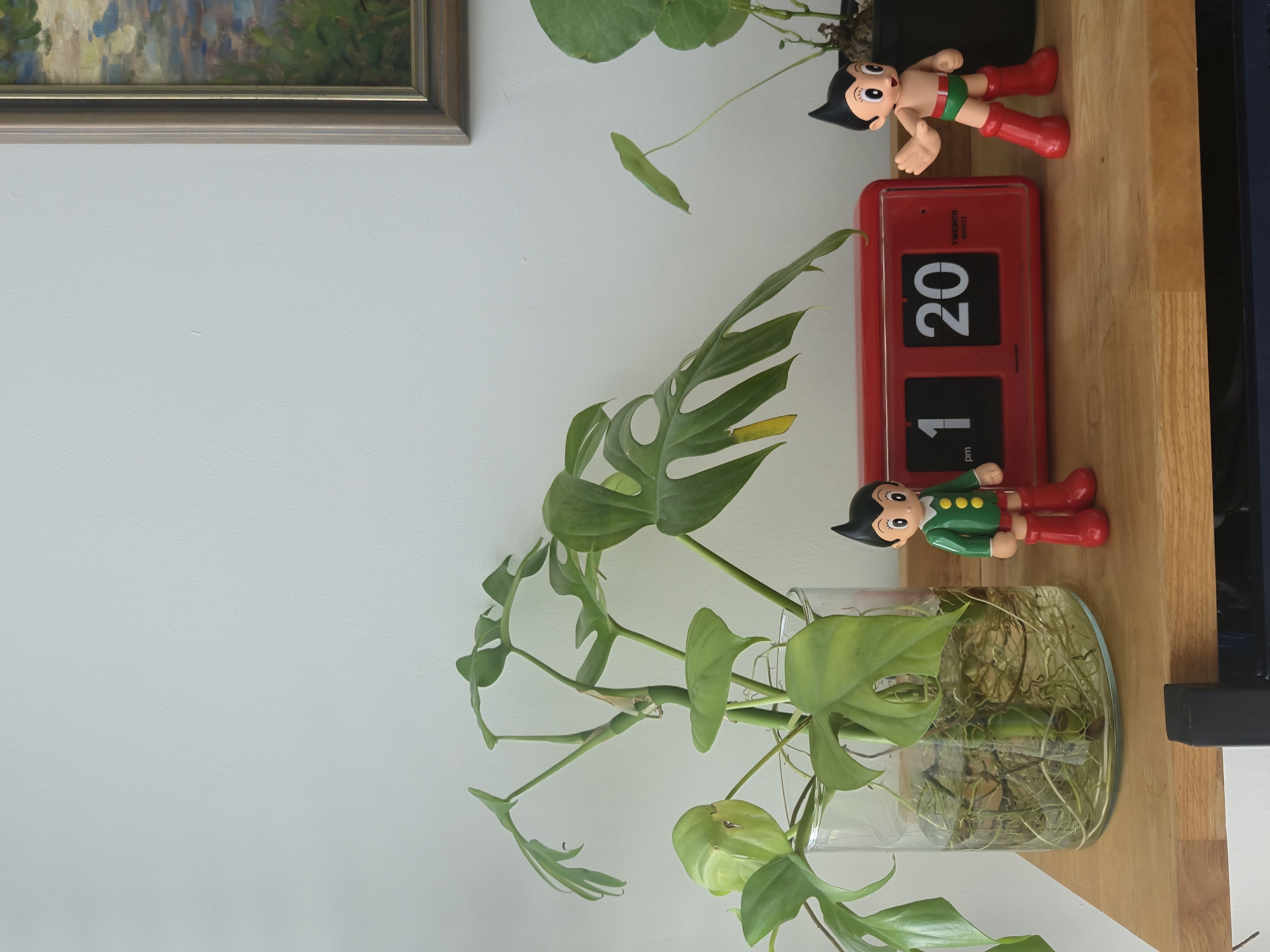 starting-to-fill-our-home-with-green-friends-🌱🌿🪴