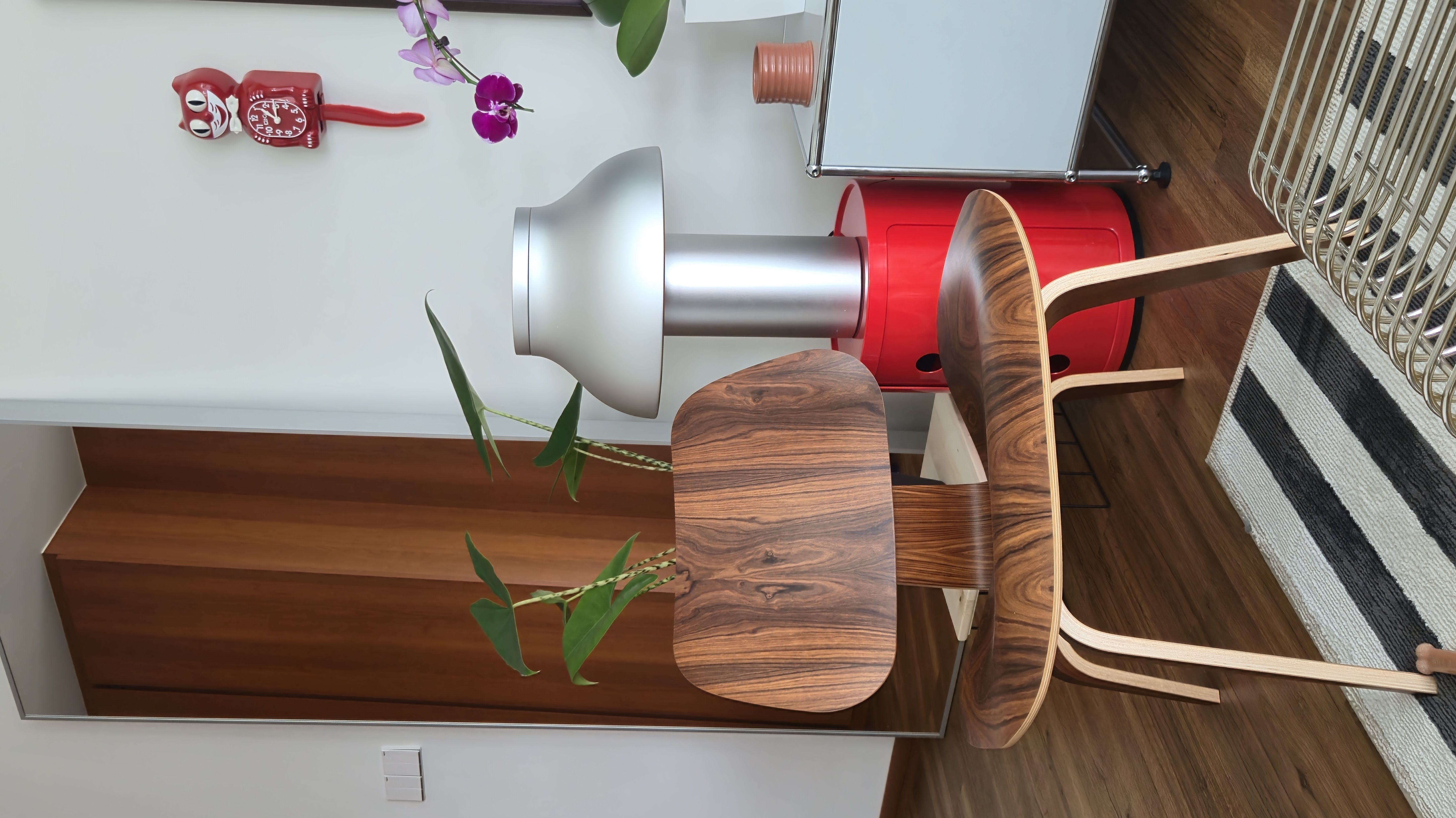 starting to fill our home with green friends 🌱🌿🪴