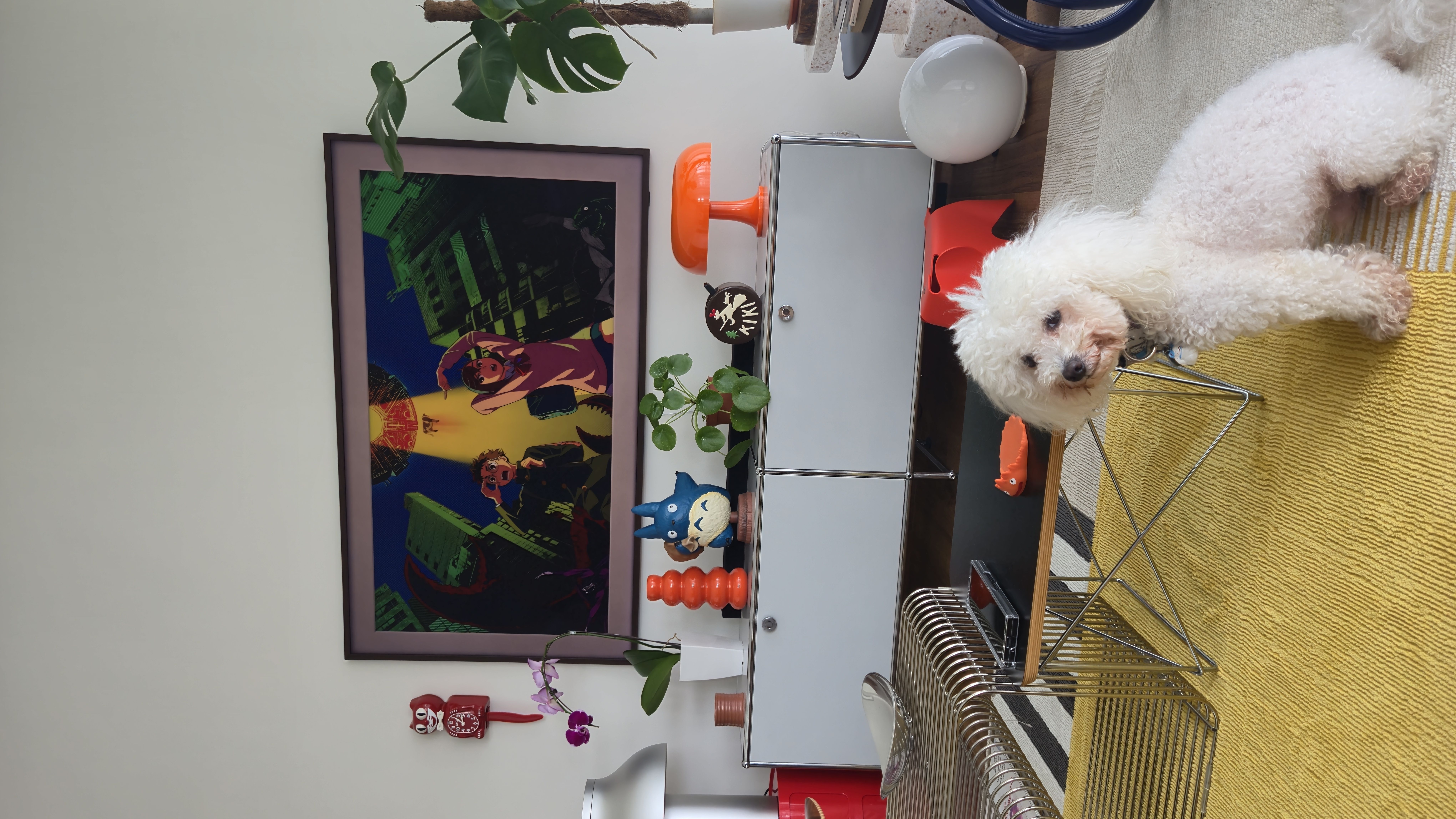 starting to fill our home with green friends 🌱🌿🪴