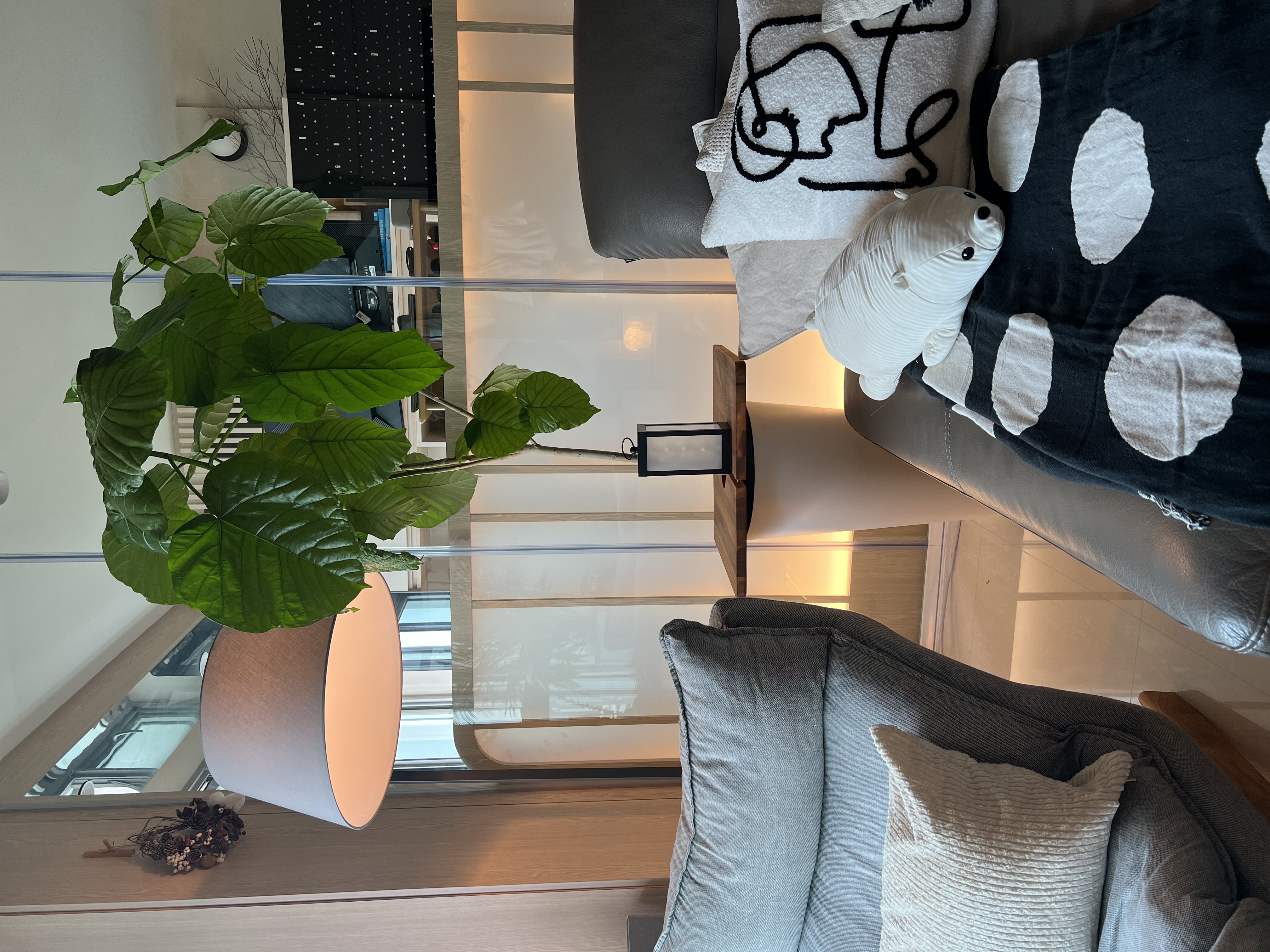 Home Must-Haves: Our HipVan Picks Through the Years