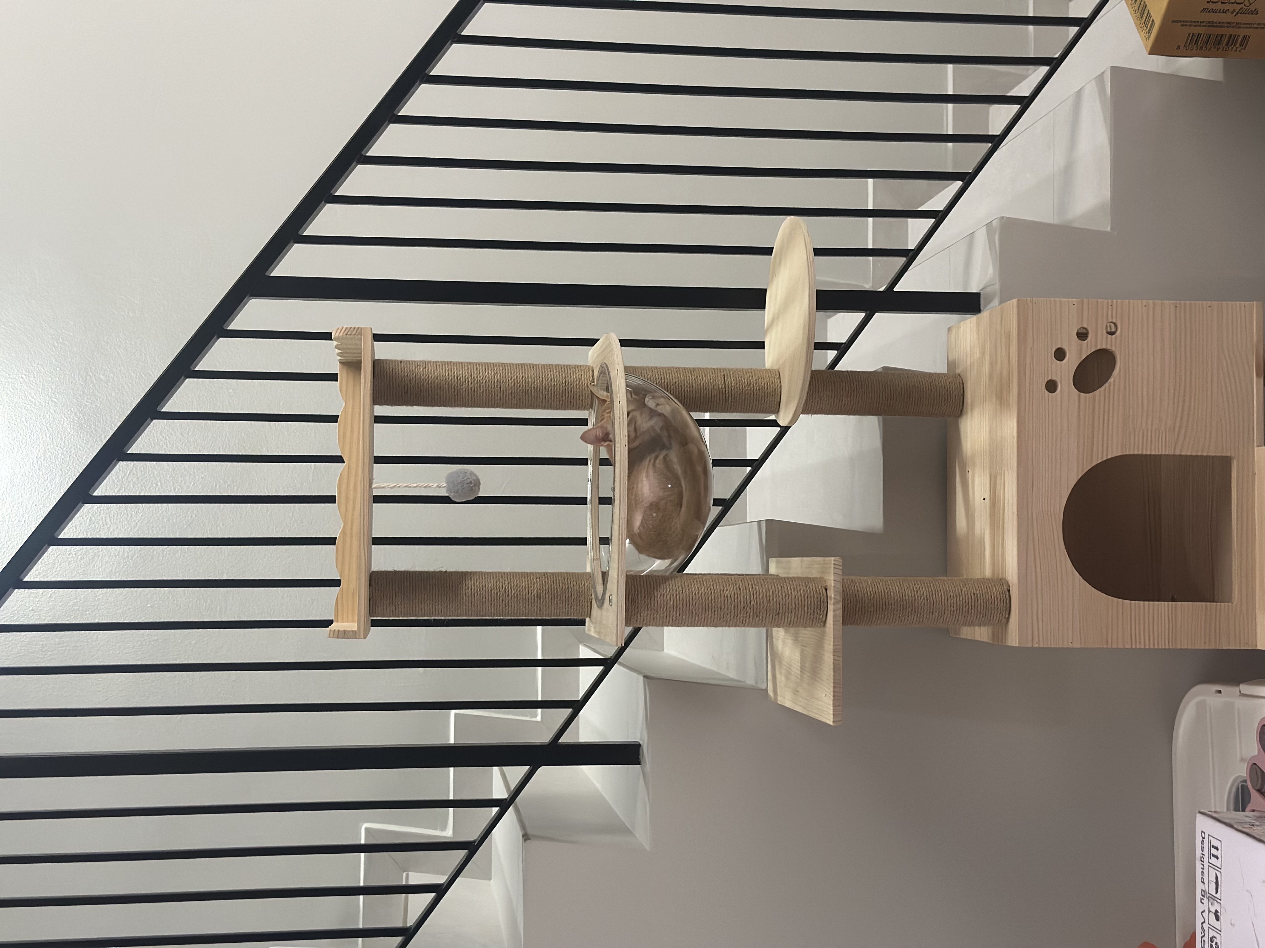 How-we-make-our-home-more-pet-friendly-