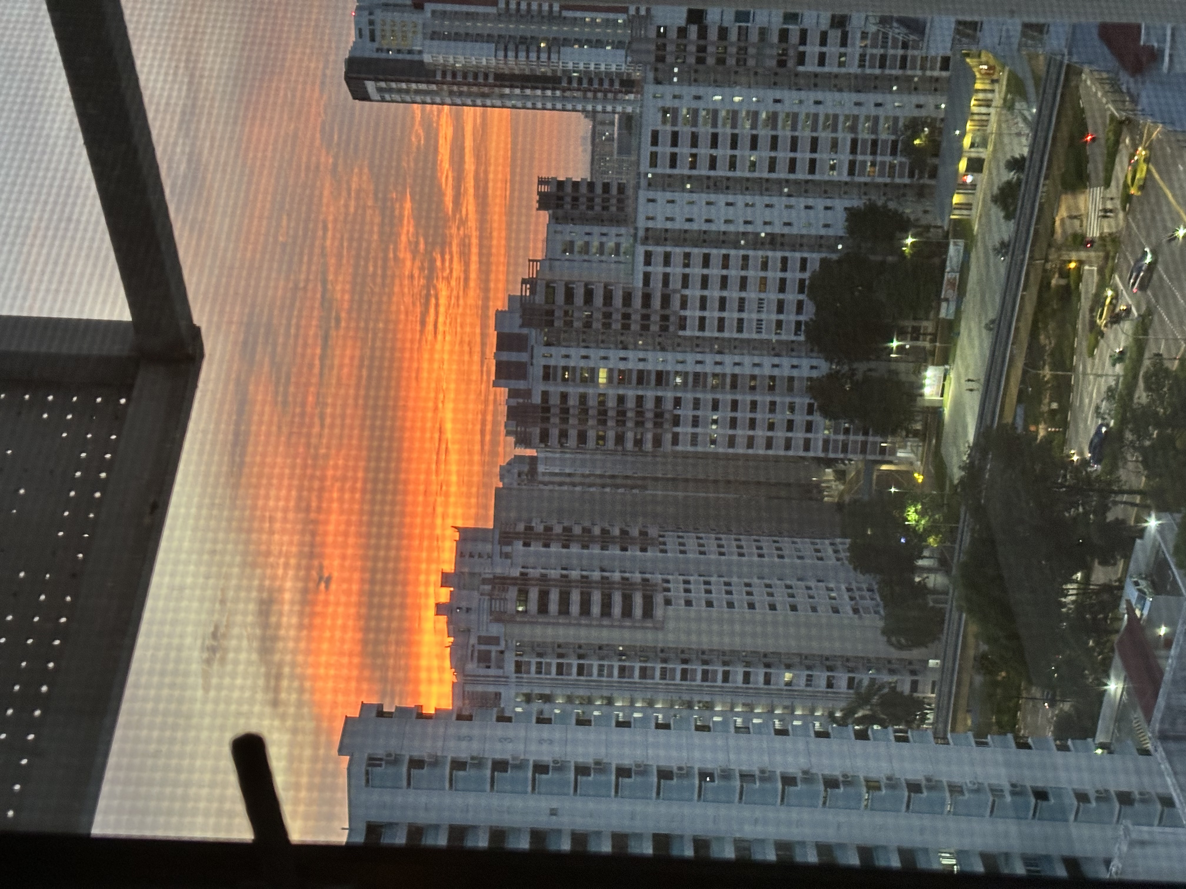 How we make our home more pet-friendly