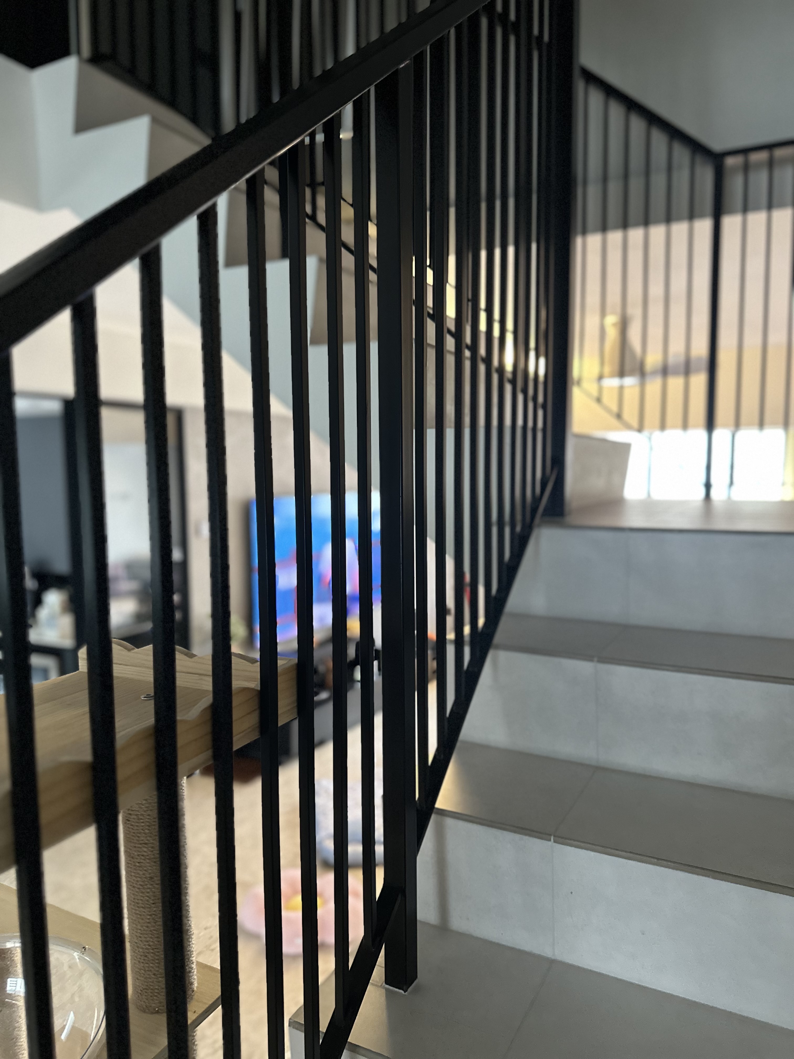 How we make our home more pet-friendly