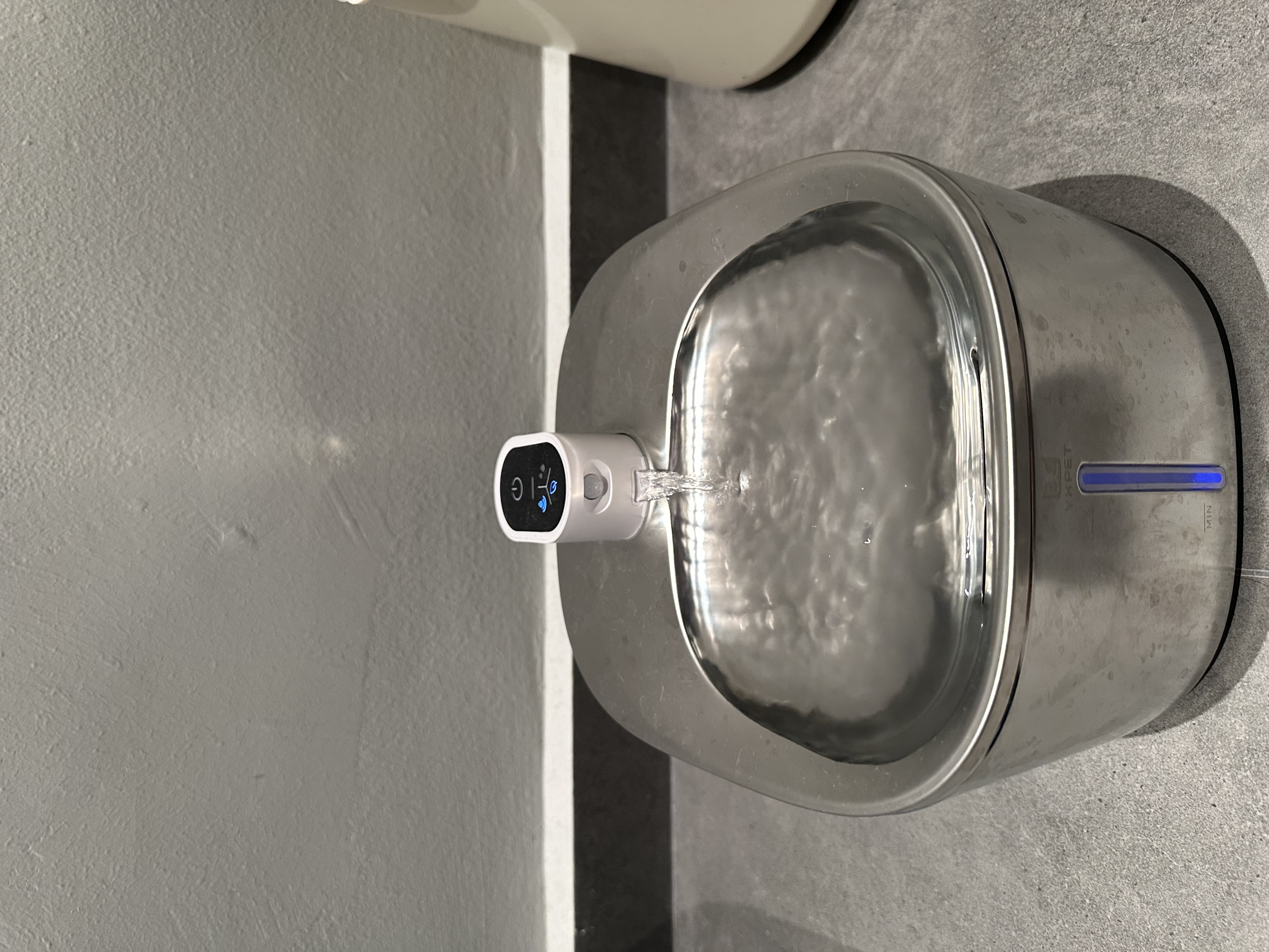 How we make our home more pet-friendly