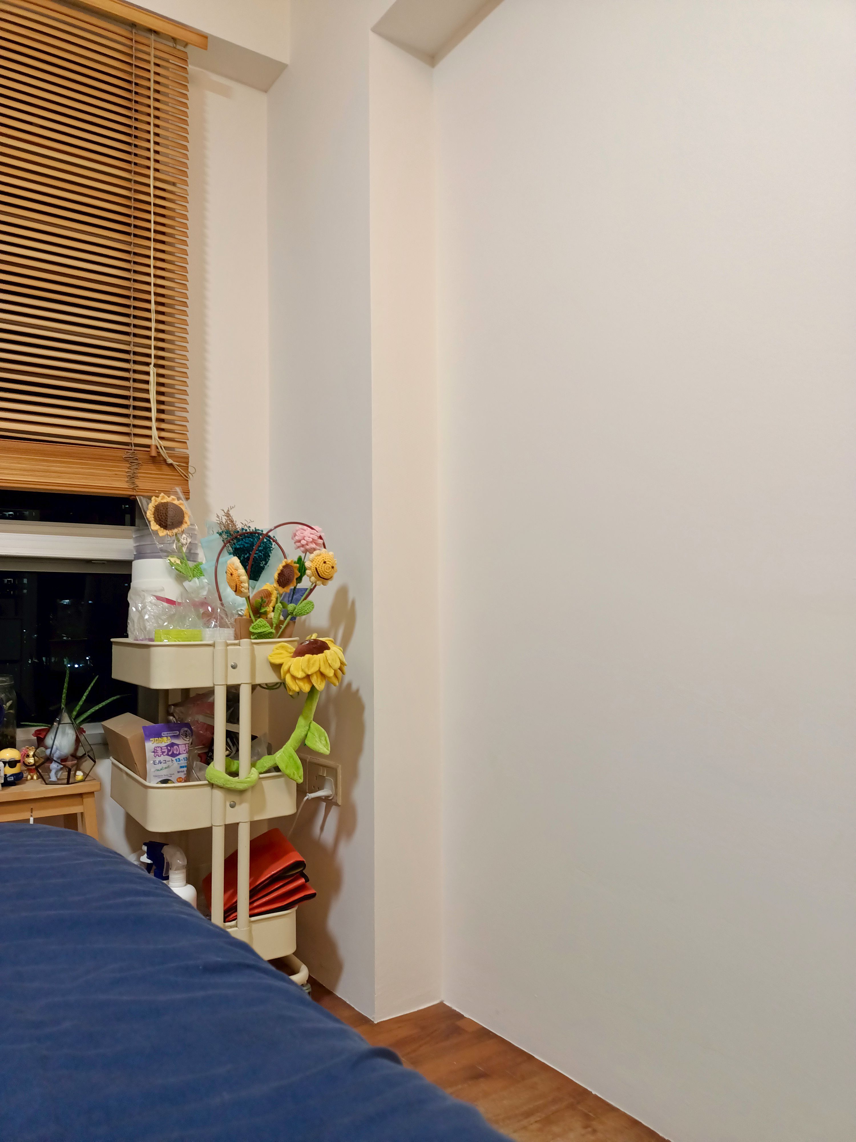 White,-white-and-white-🤍.-