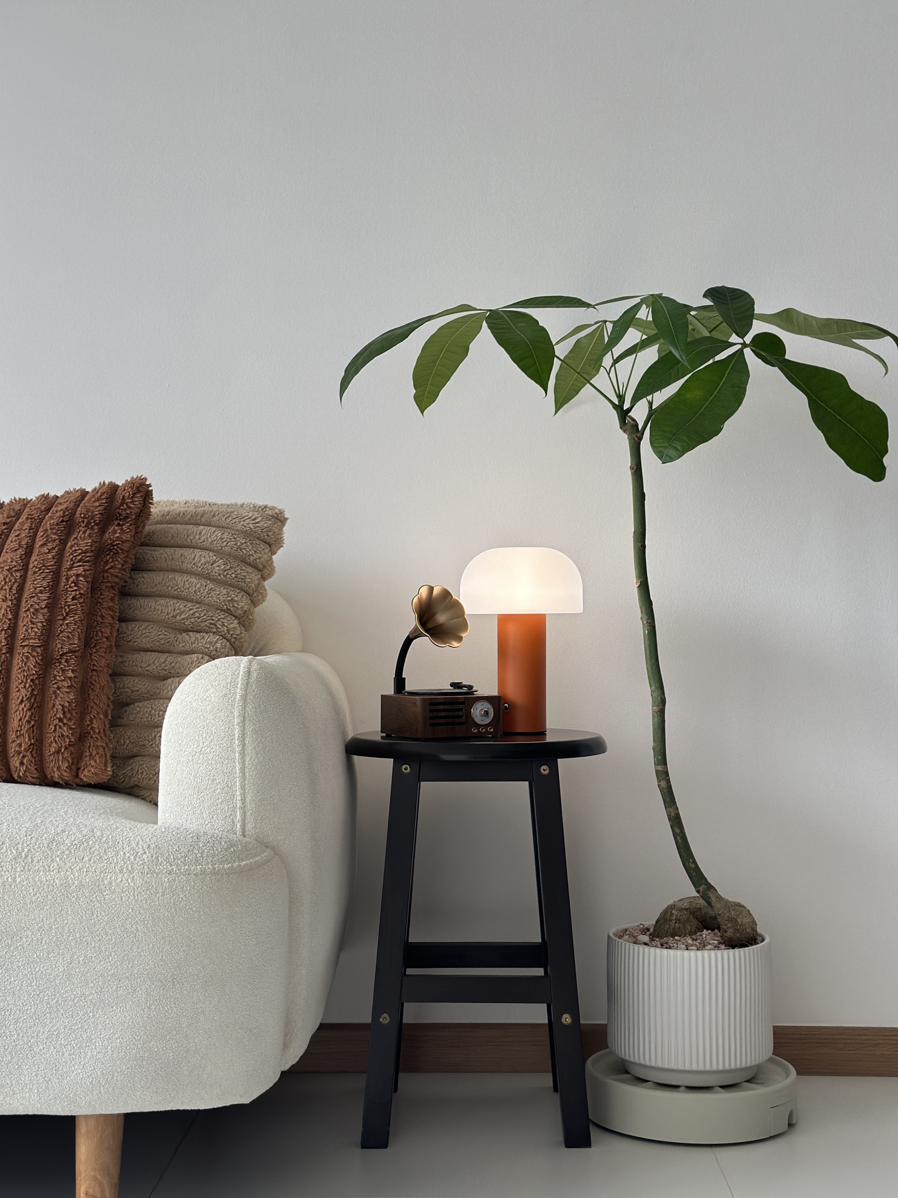 Our-Plant-Parenthood-Journey,-Featuring-Our-Plant-Babies-🪴❤️