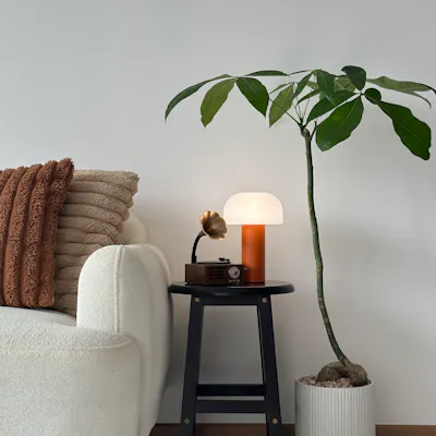 Customer home photo 1: Our Plant Parenthood Journey, Featuring Our Plant Babies 🪴❤️