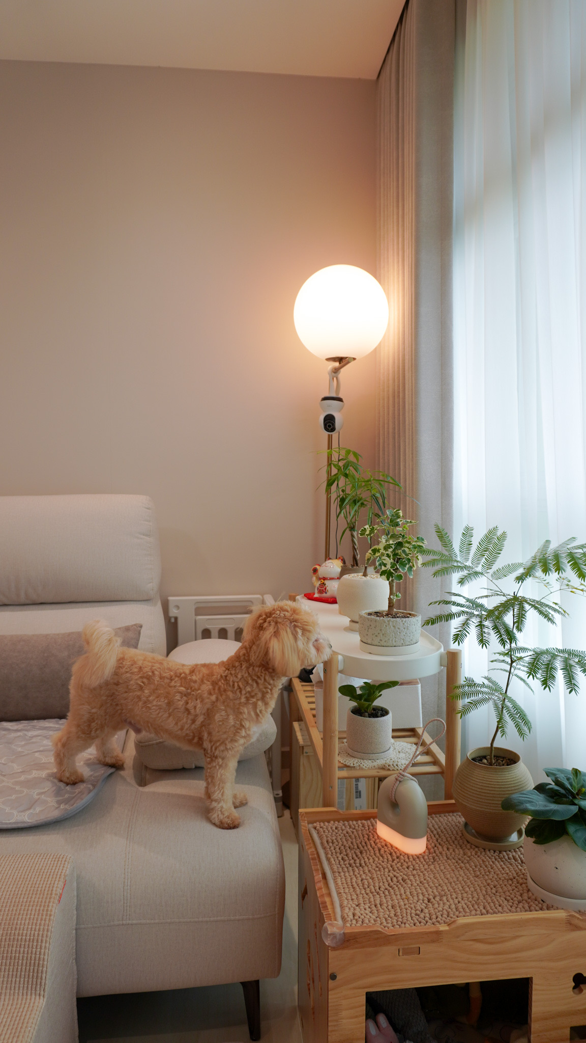 Our Cozy Corners 🏠 |  10-Month Home Tour