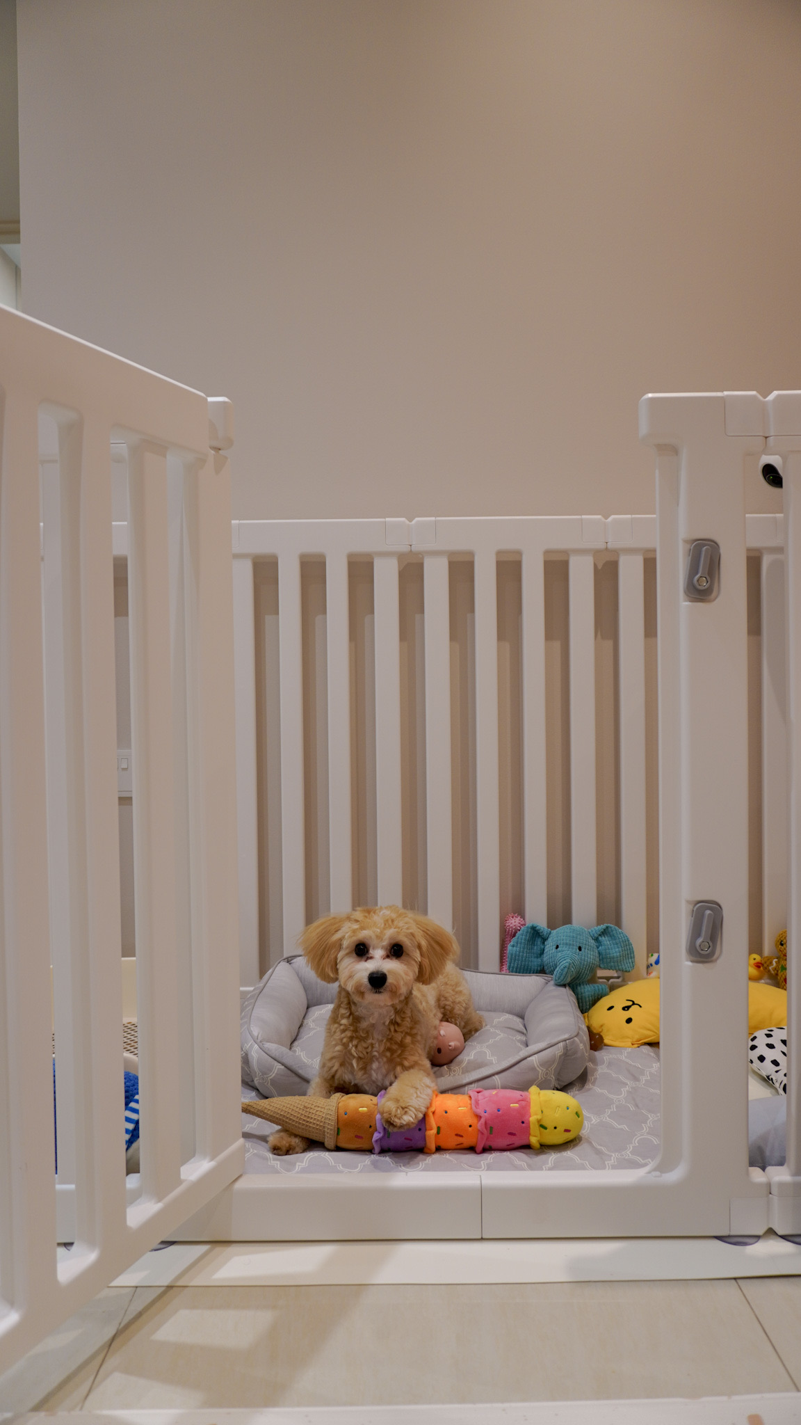 Our Cozy Corners 🏠 |  10-Month Home Tour