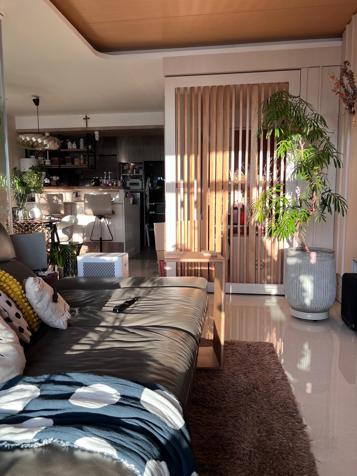 ThreeYears-of-Growth-|-How-Our-Living-Room-Blossomed-✨