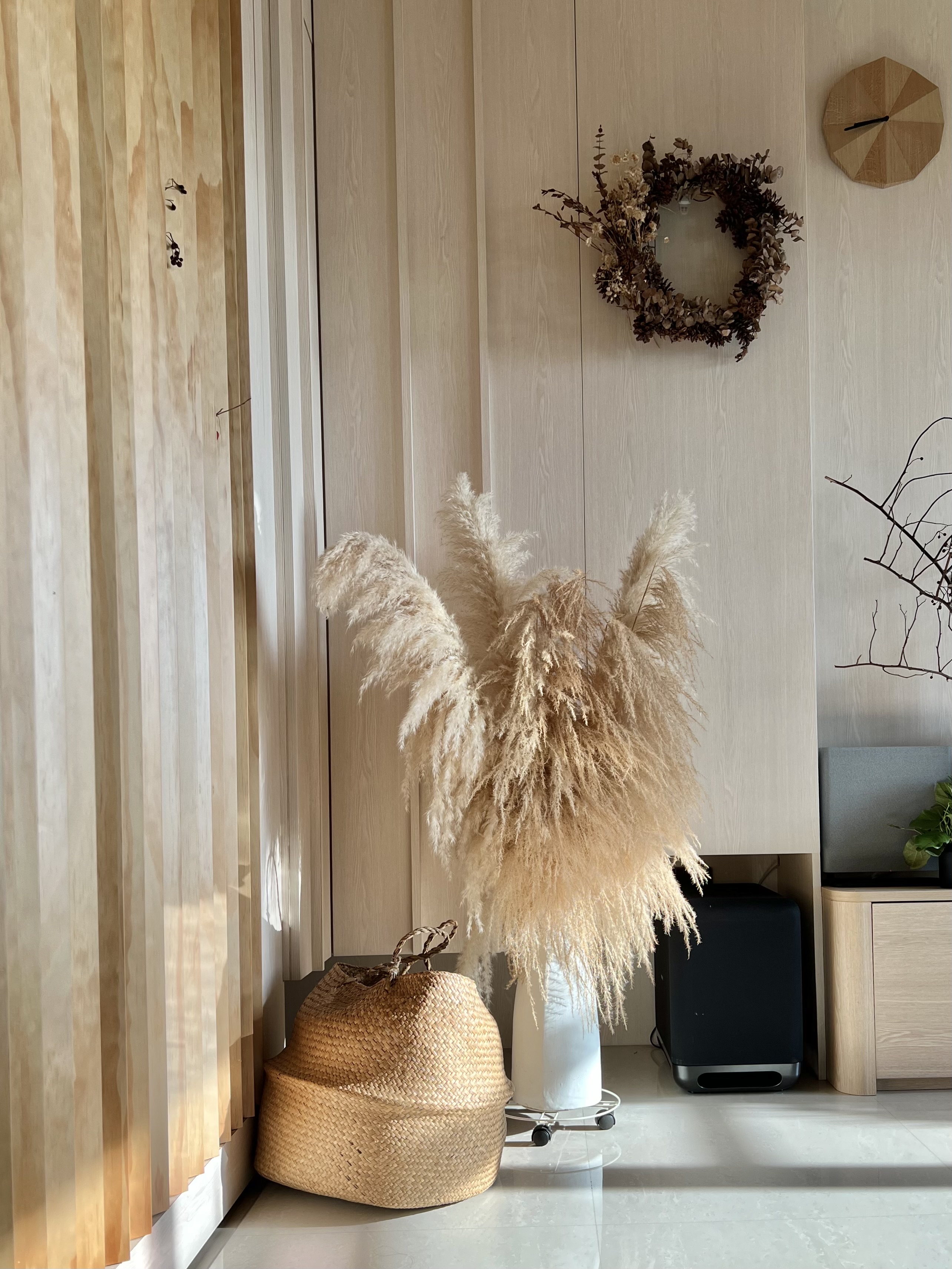 ThreeYears of Growth | How Our Living Room Blossomed ✨