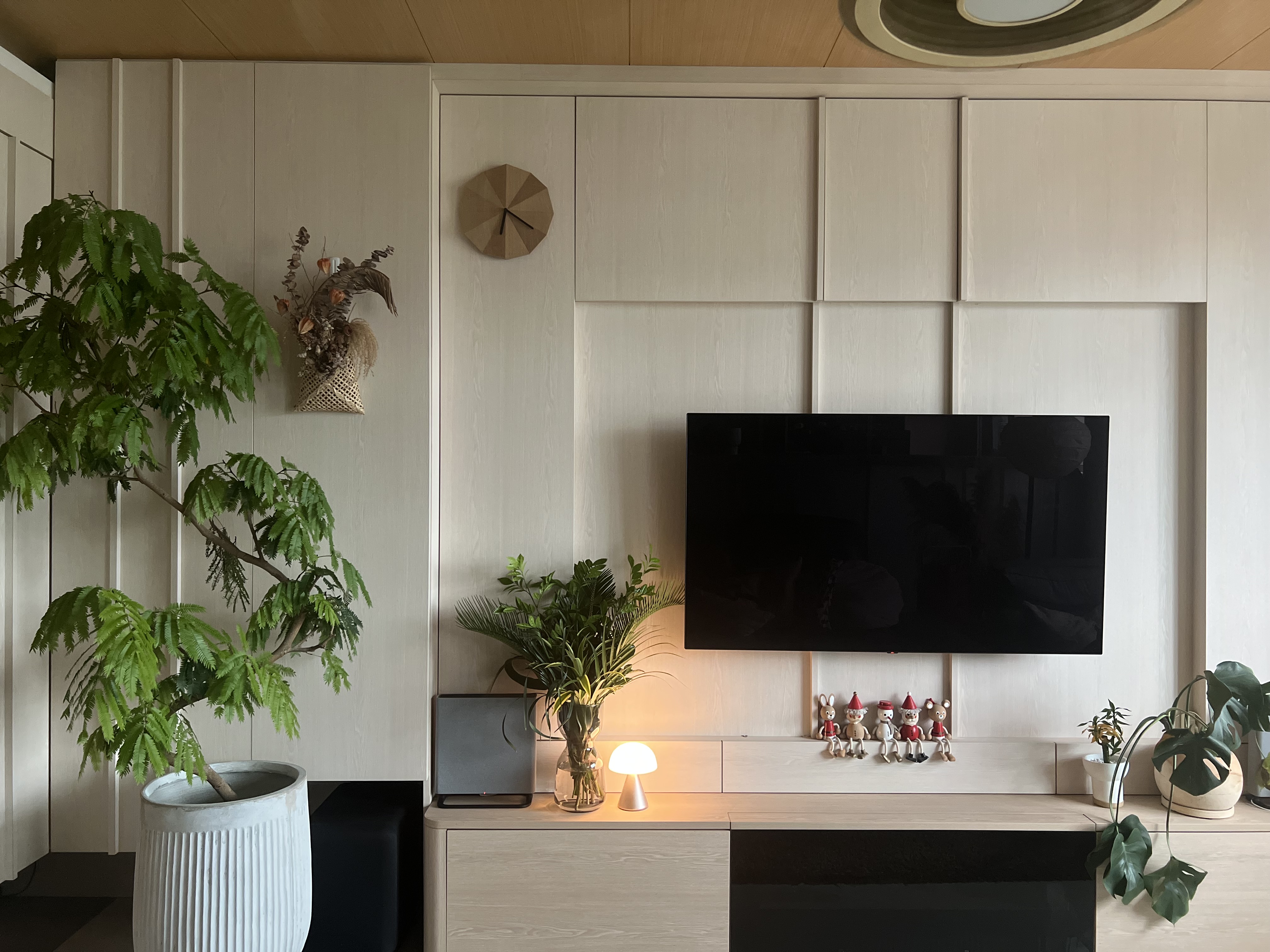 ThreeYears of Growth | How Our Living Room Blossomed ✨