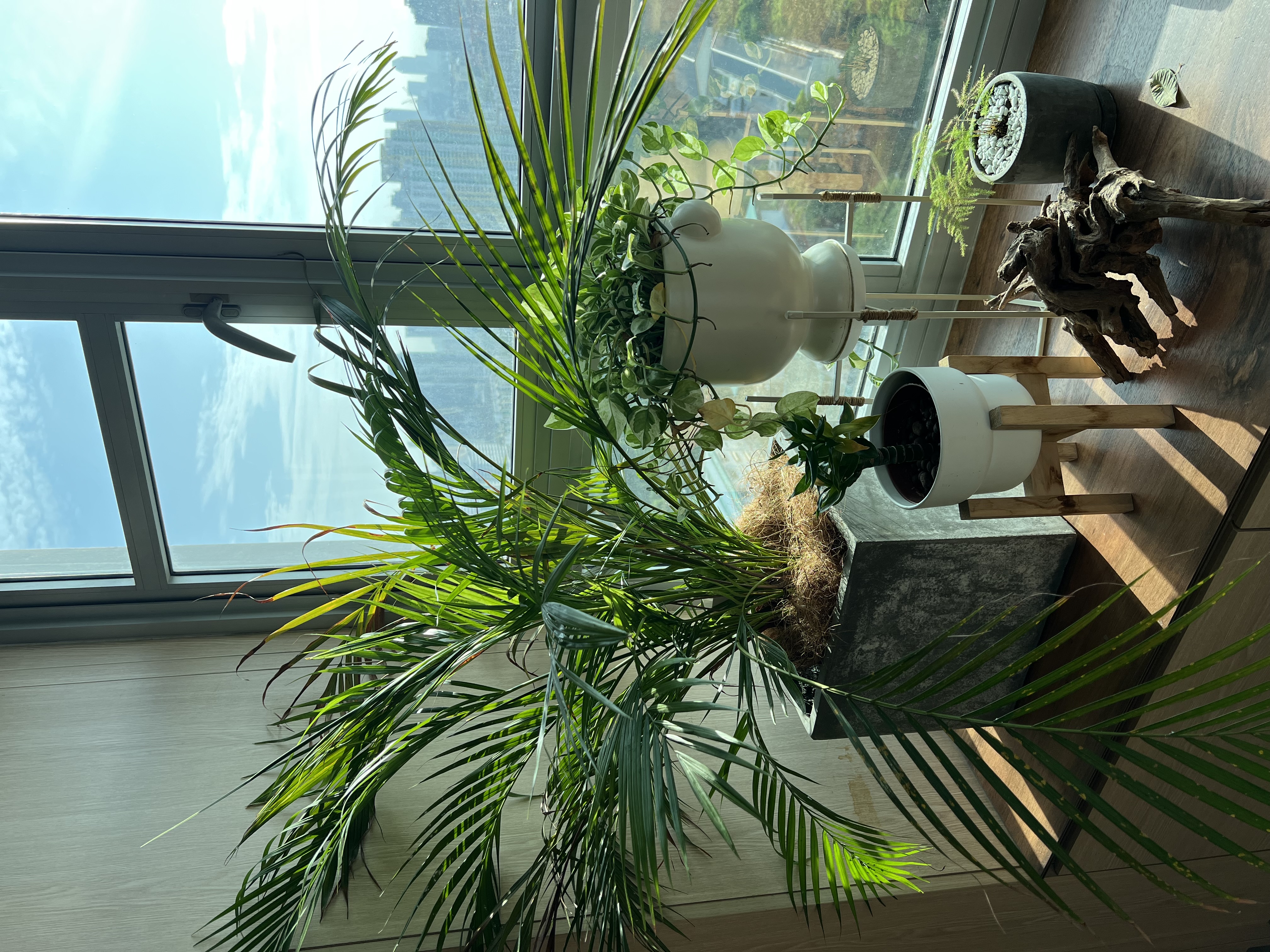 ThreeYears of Growth | How Our Living Room Blossomed ✨