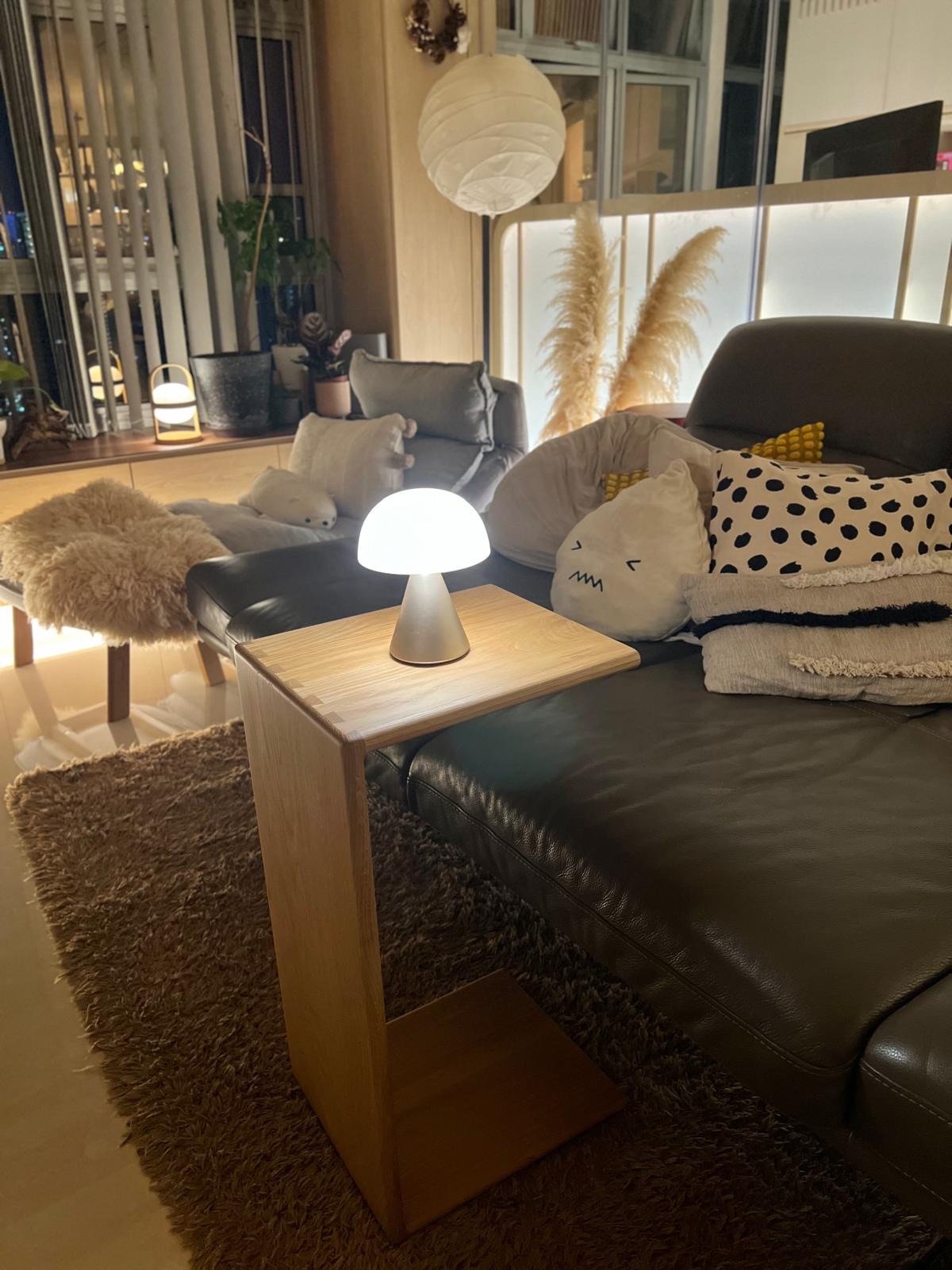 ThreeYears of Growth | How Our Living Room Blossomed ✨