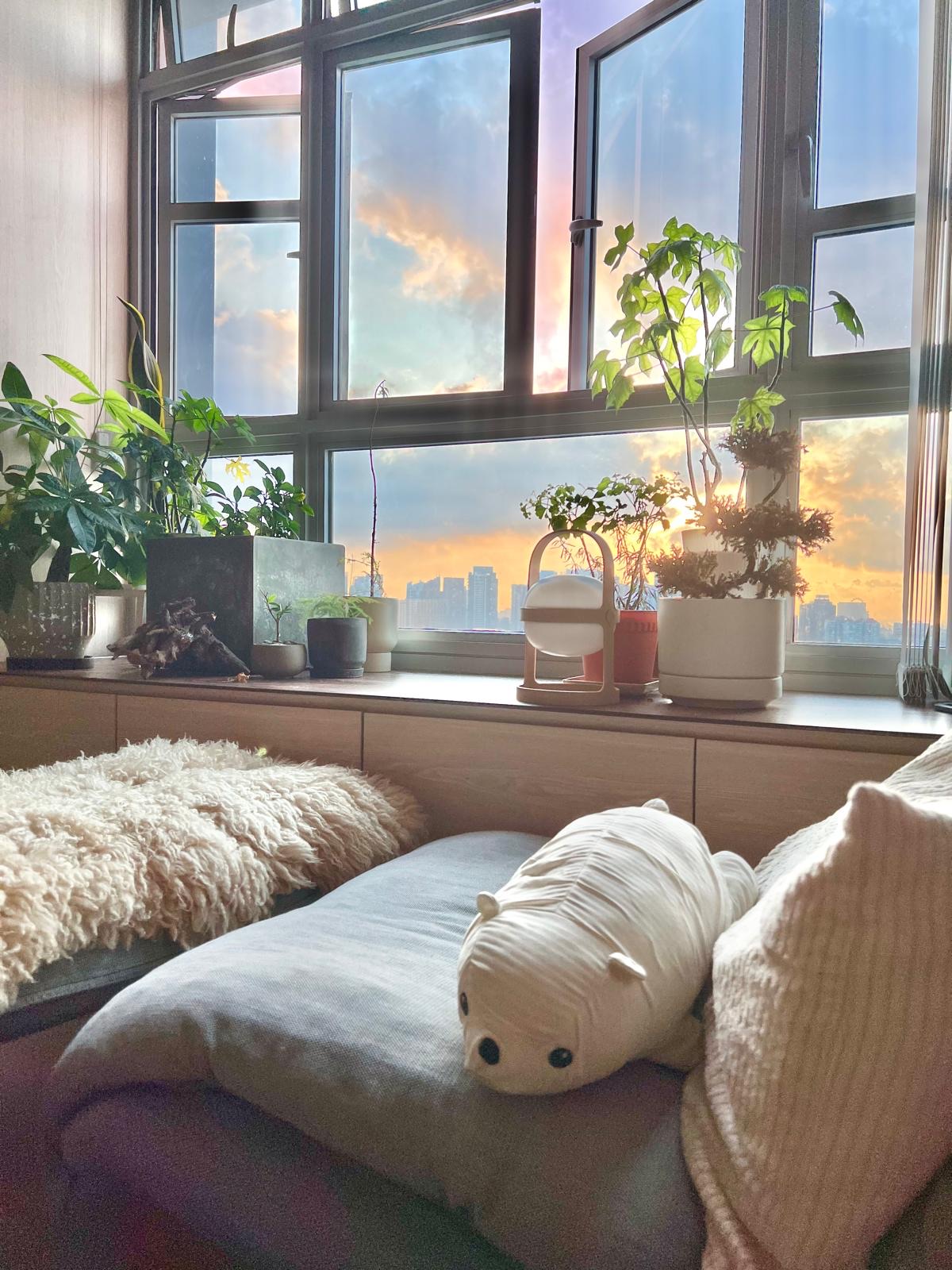 ThreeYears of Growth | How Our Living Room Blossomed ✨