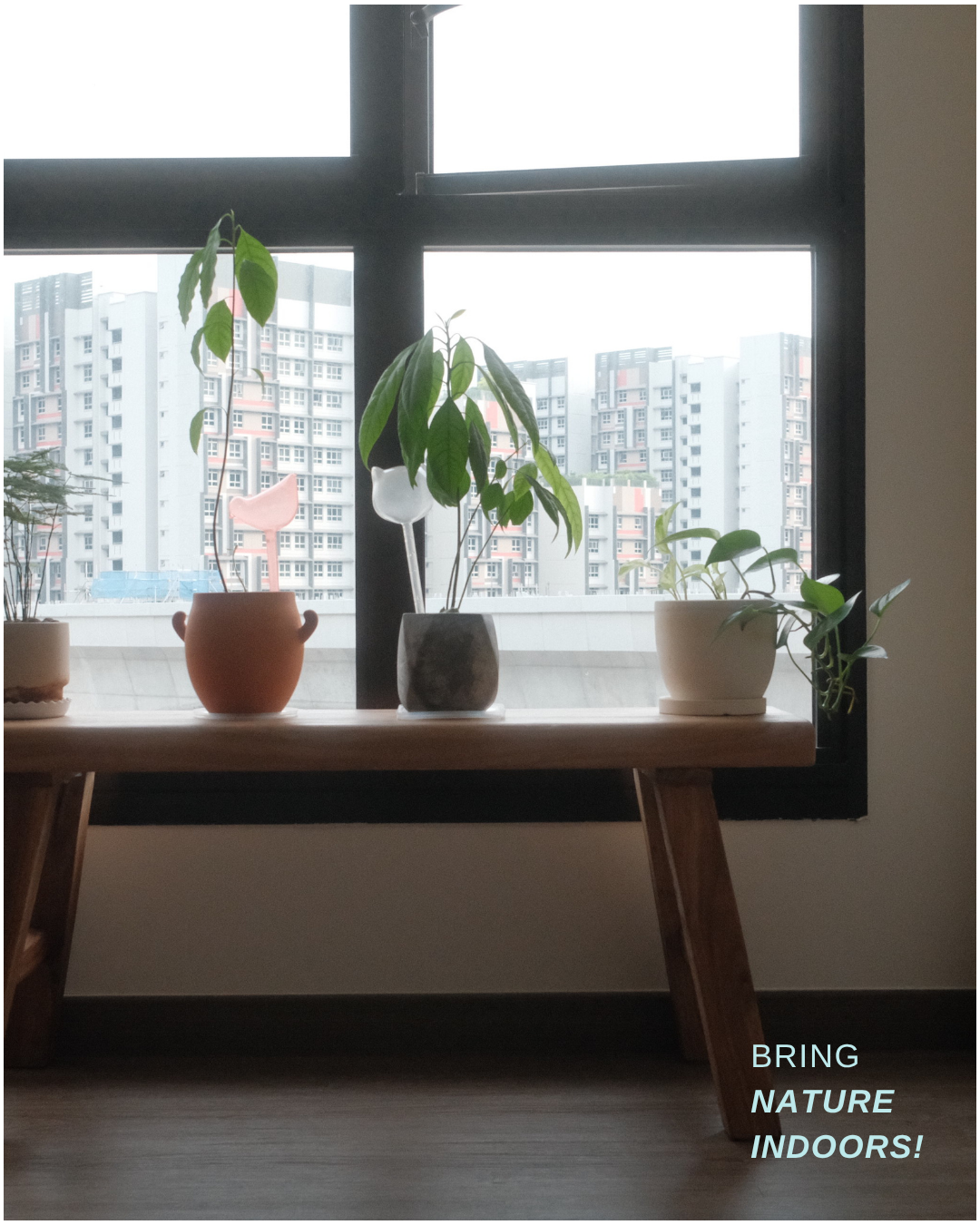 Creating Japandi vibes at home