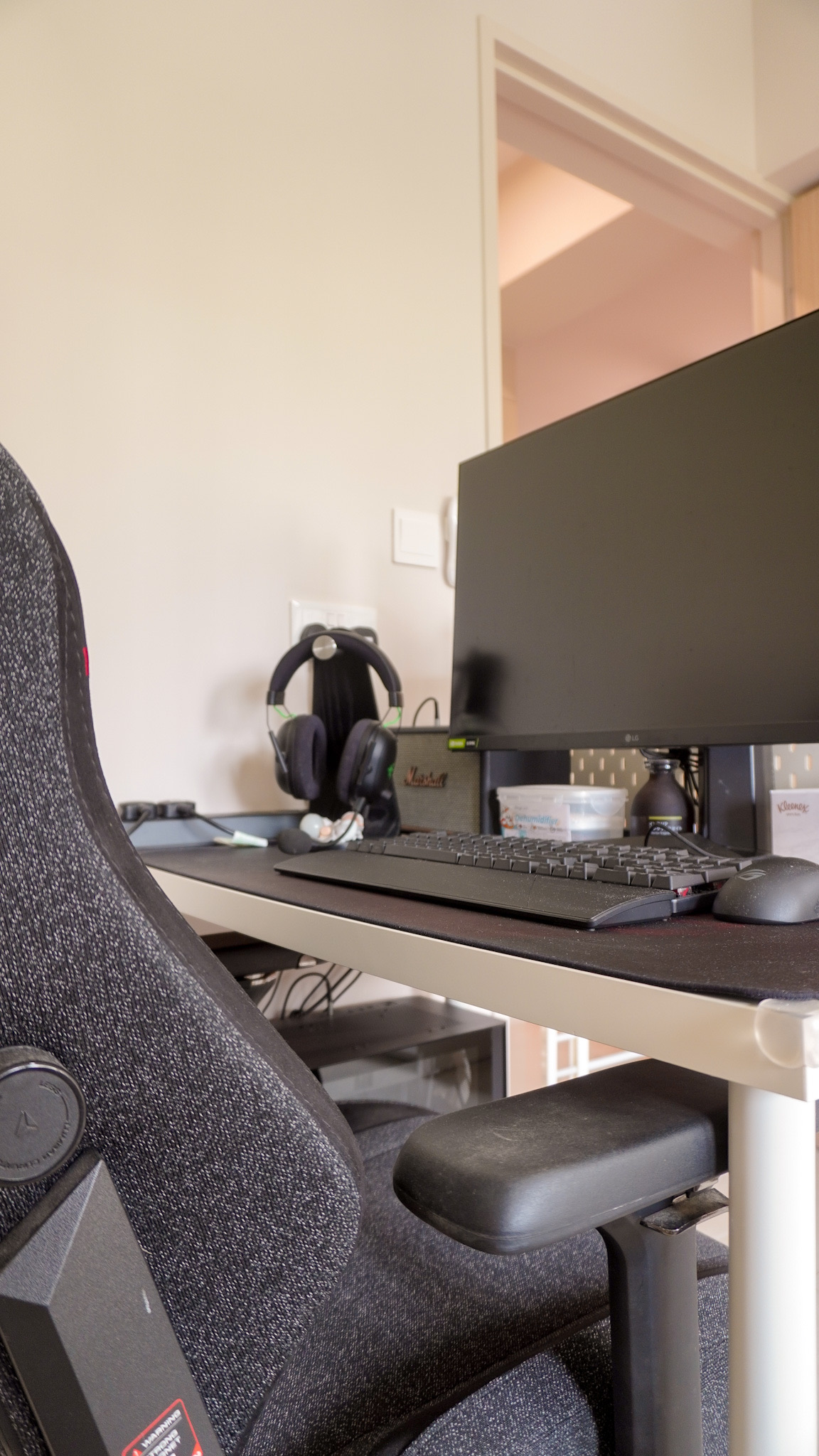 Study to Plant Room 🌿 | Our Little Indoor Jungle