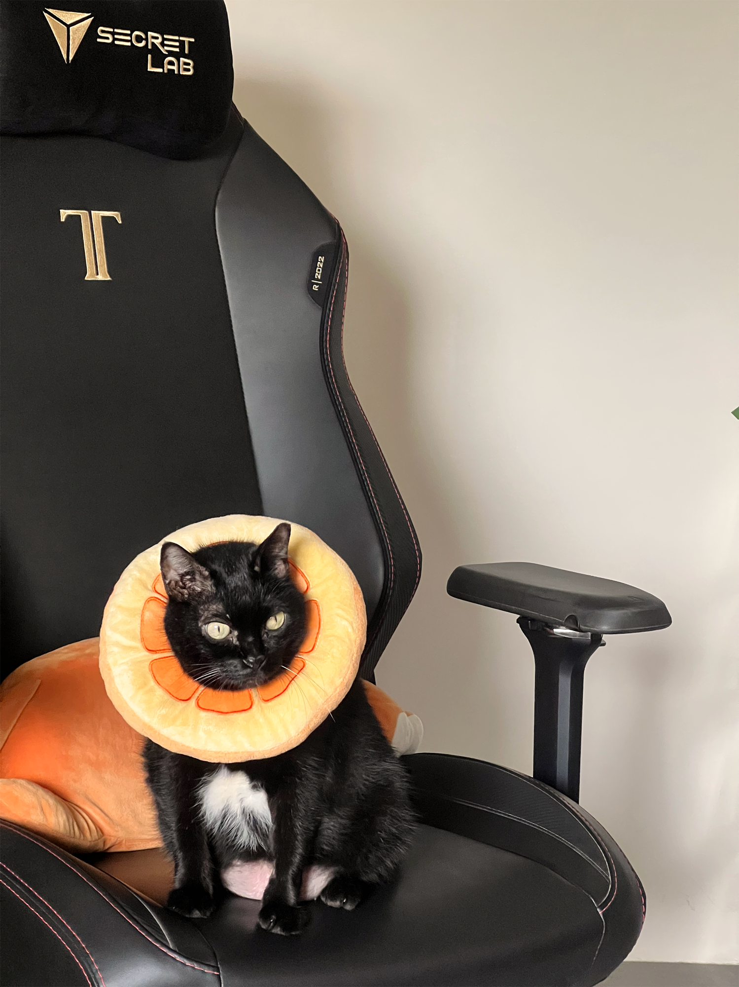 2 years on in 2monkeyhouse 🙈🙊