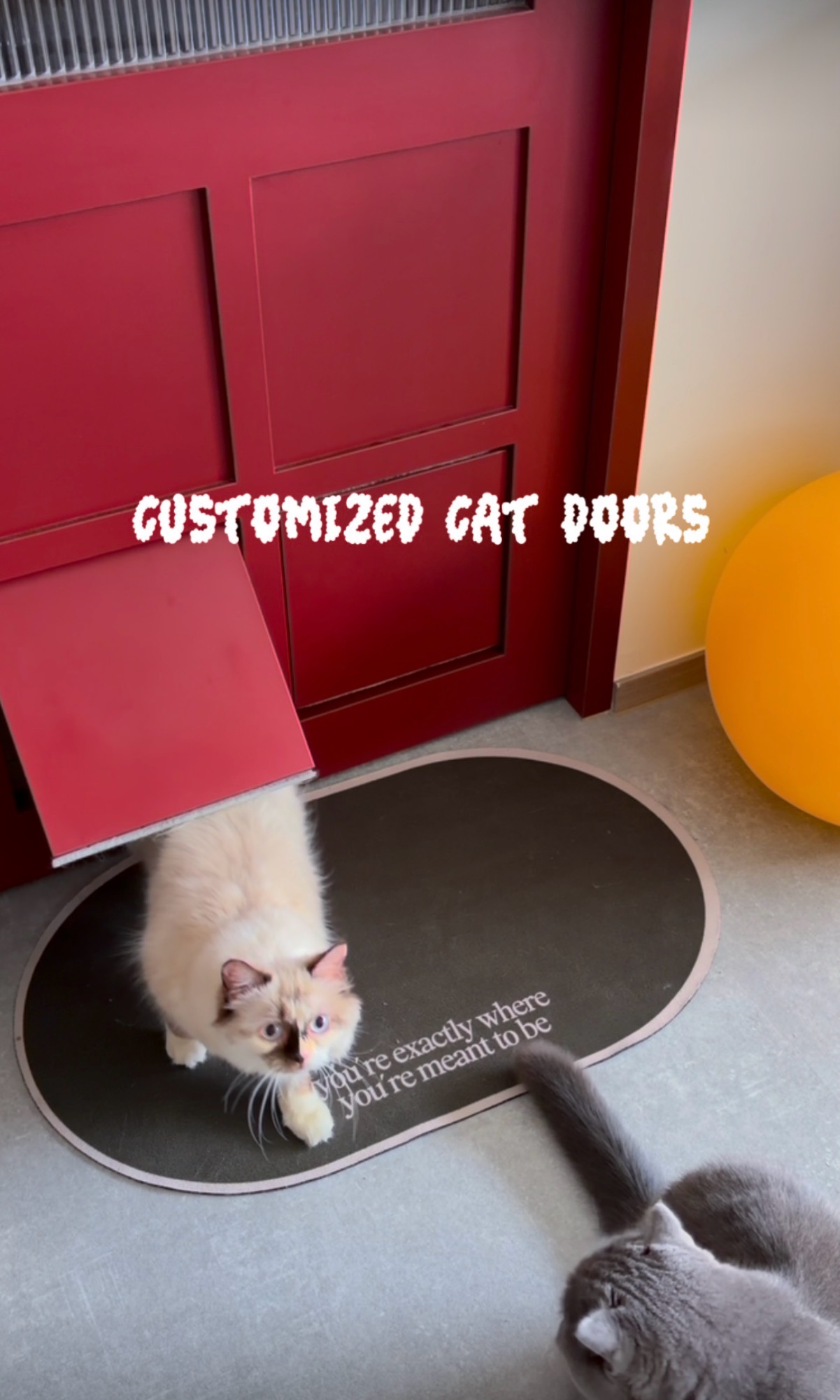 Things We’re Loving At Home Right Now 🙌🏻