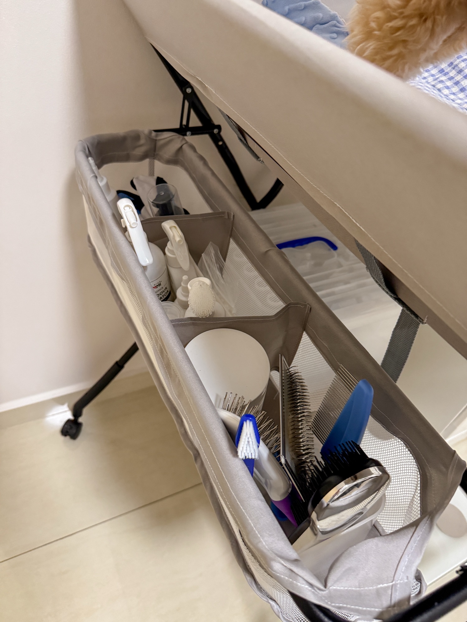 Pet Zone 🐾 | Organizing Toffy’s Toys & Treats