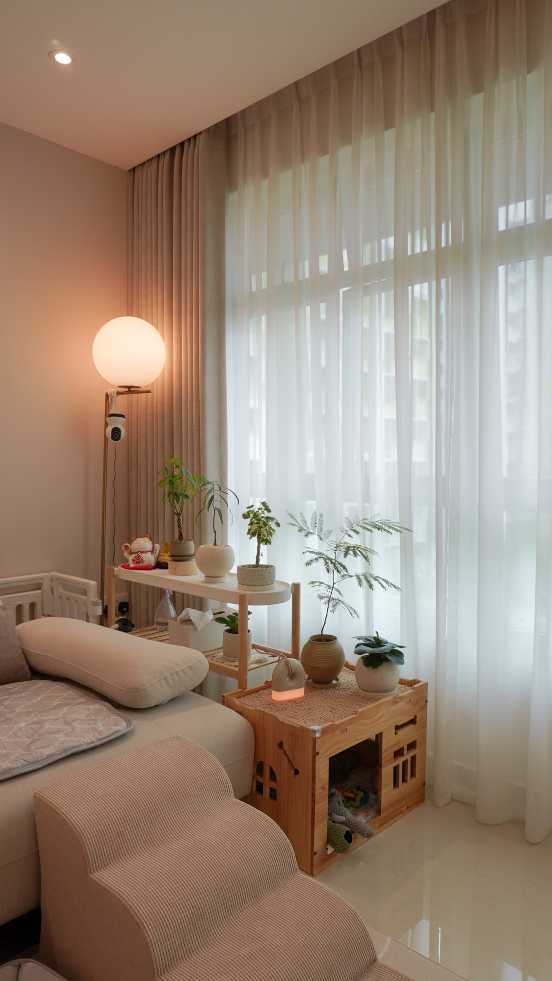 Pet Zone 🐾 | Organizing Toffy’s Toys & Treats