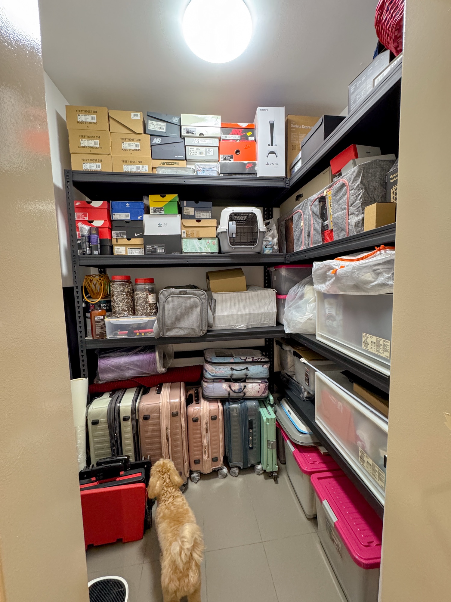 Hidden Corners 🧺 | Our Household Shelter Makeover