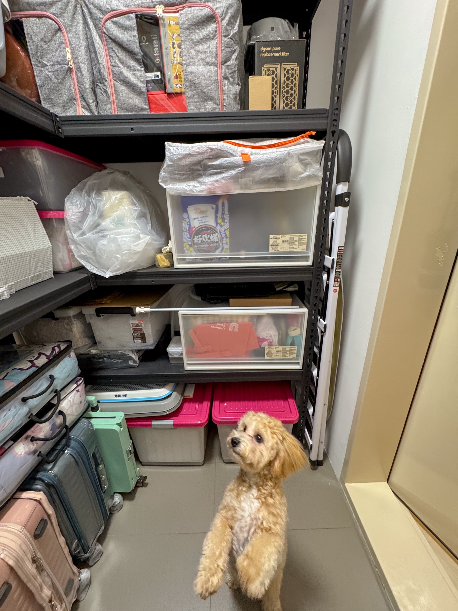 Hidden Corners 🧺 | Our Household Shelter Makeover