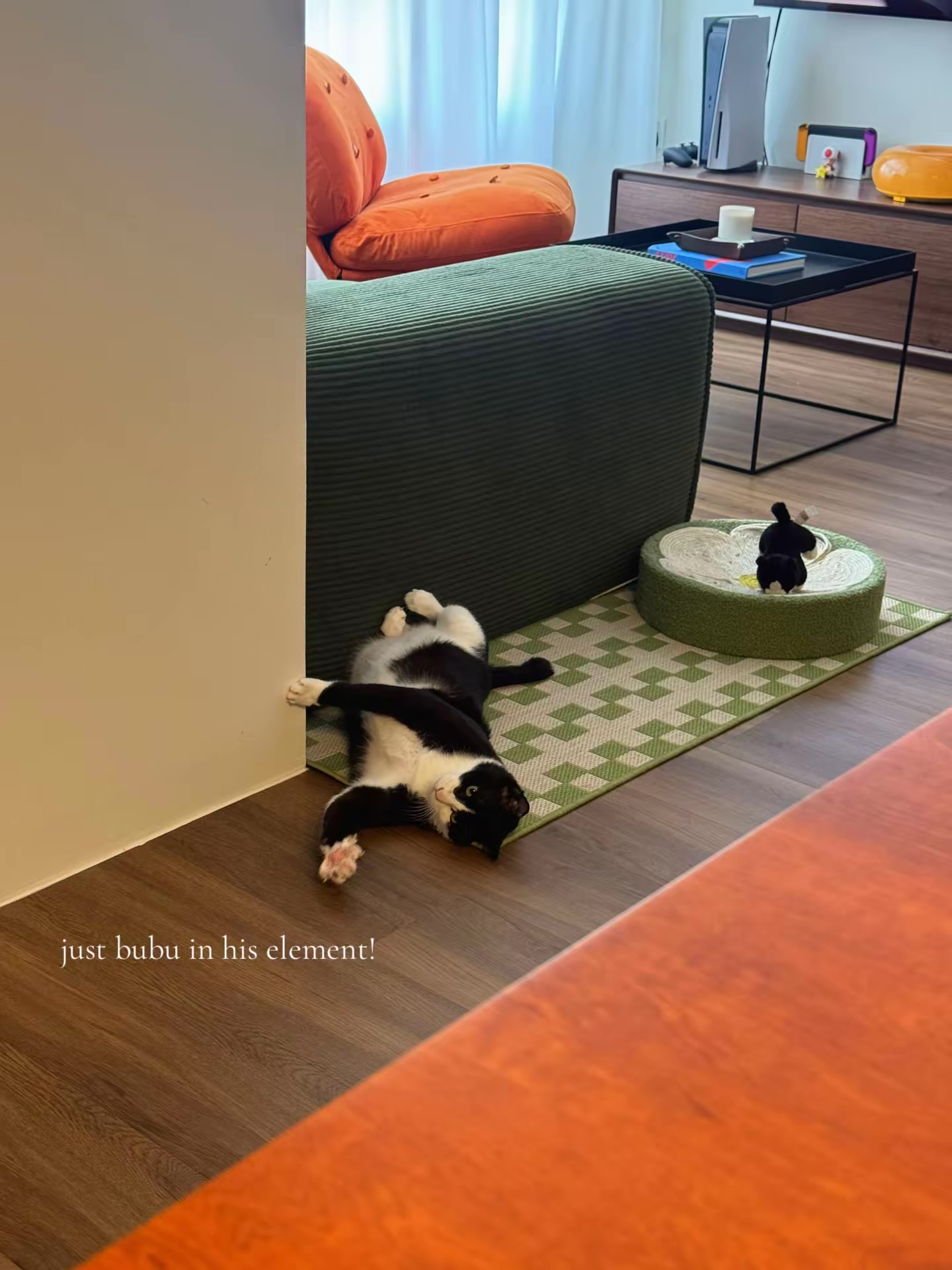 Home updates after almost 2 months since moving in!