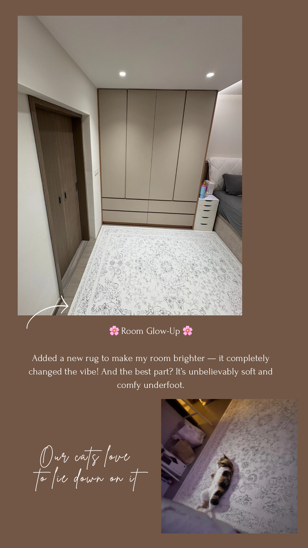 New furniture that helps with chores + a new rug for that cozy touch ✨