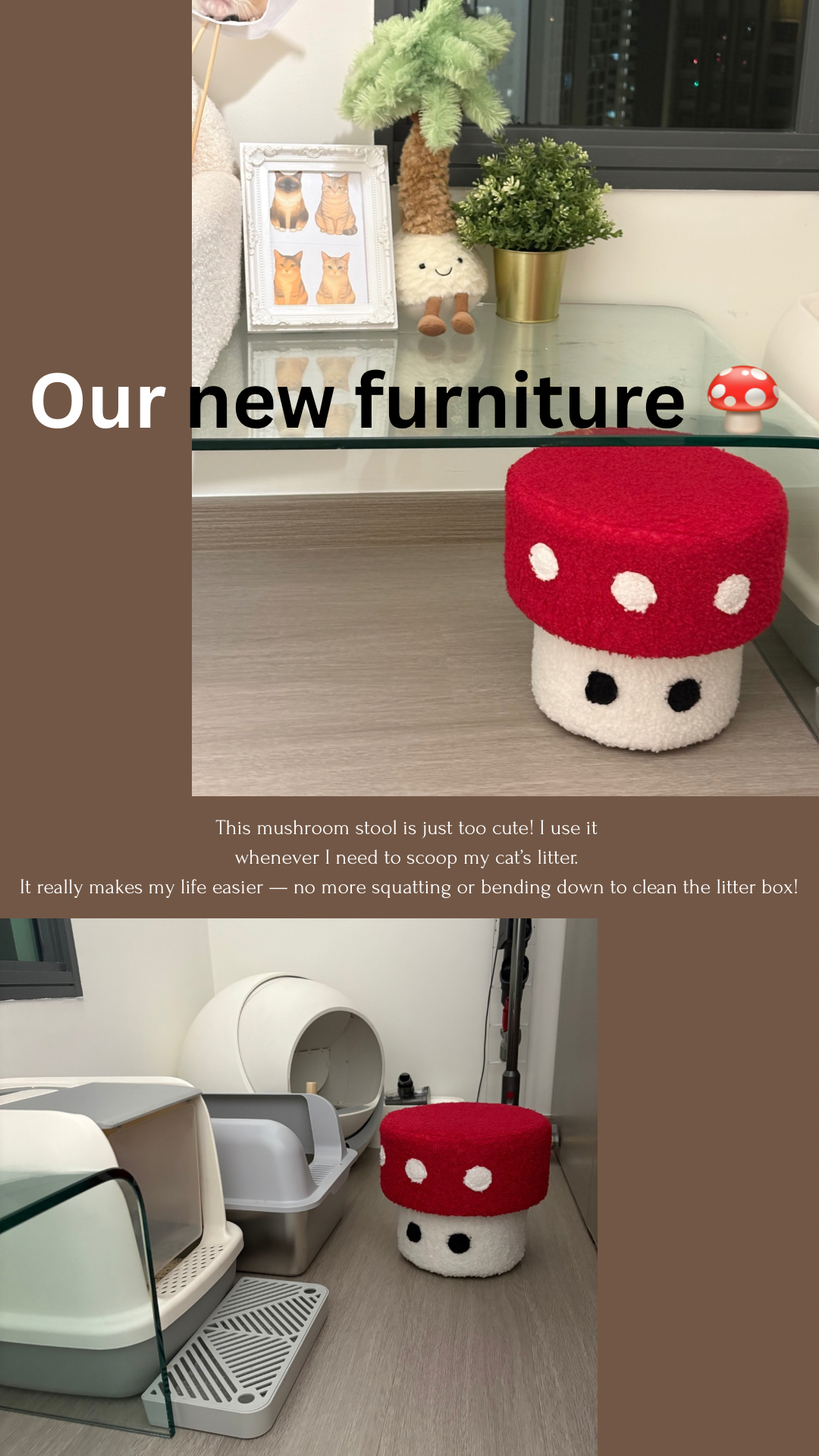 New furniture that helps with chores + a new rug for that cozy touch ✨