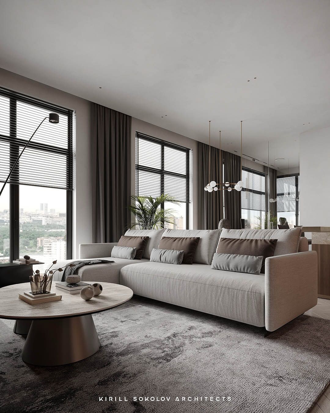 Stylish living room and dry kitchen