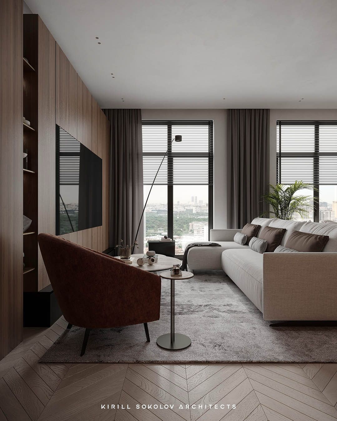 Stylish living room and dry kitchen