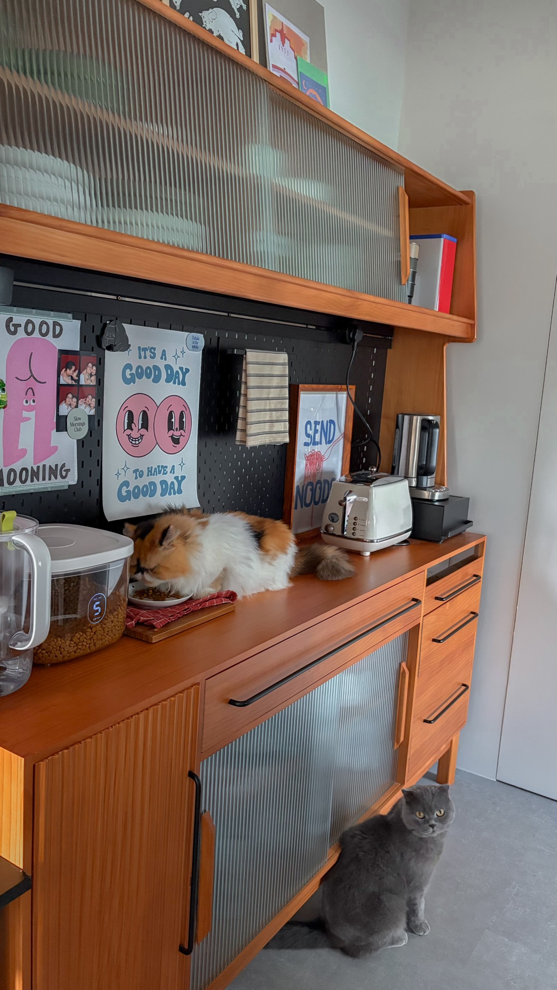 SPACE SAVING BUY: Our Dry Pantry 😍