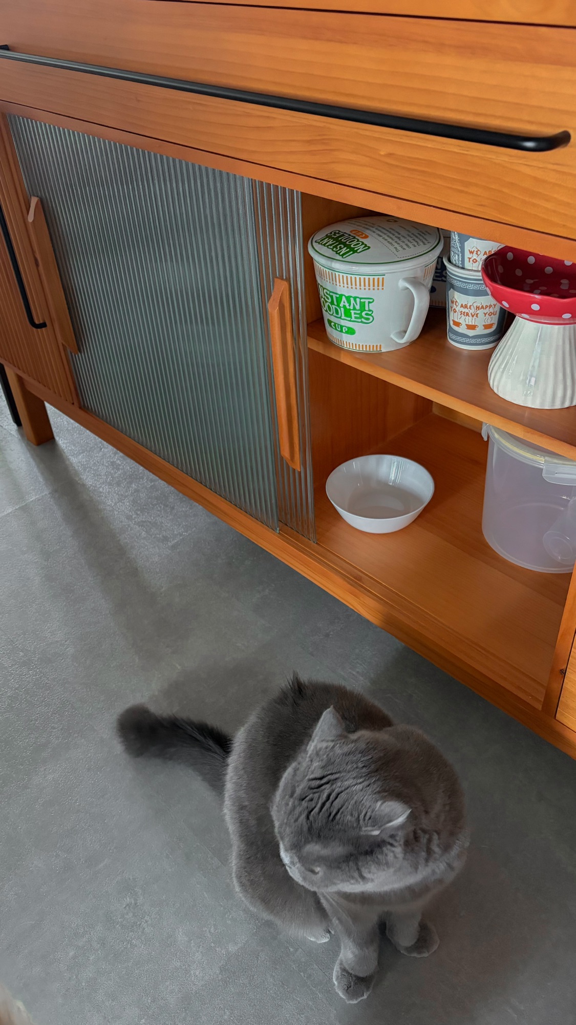 SPACE SAVING BUY: Our Dry Pantry 😍