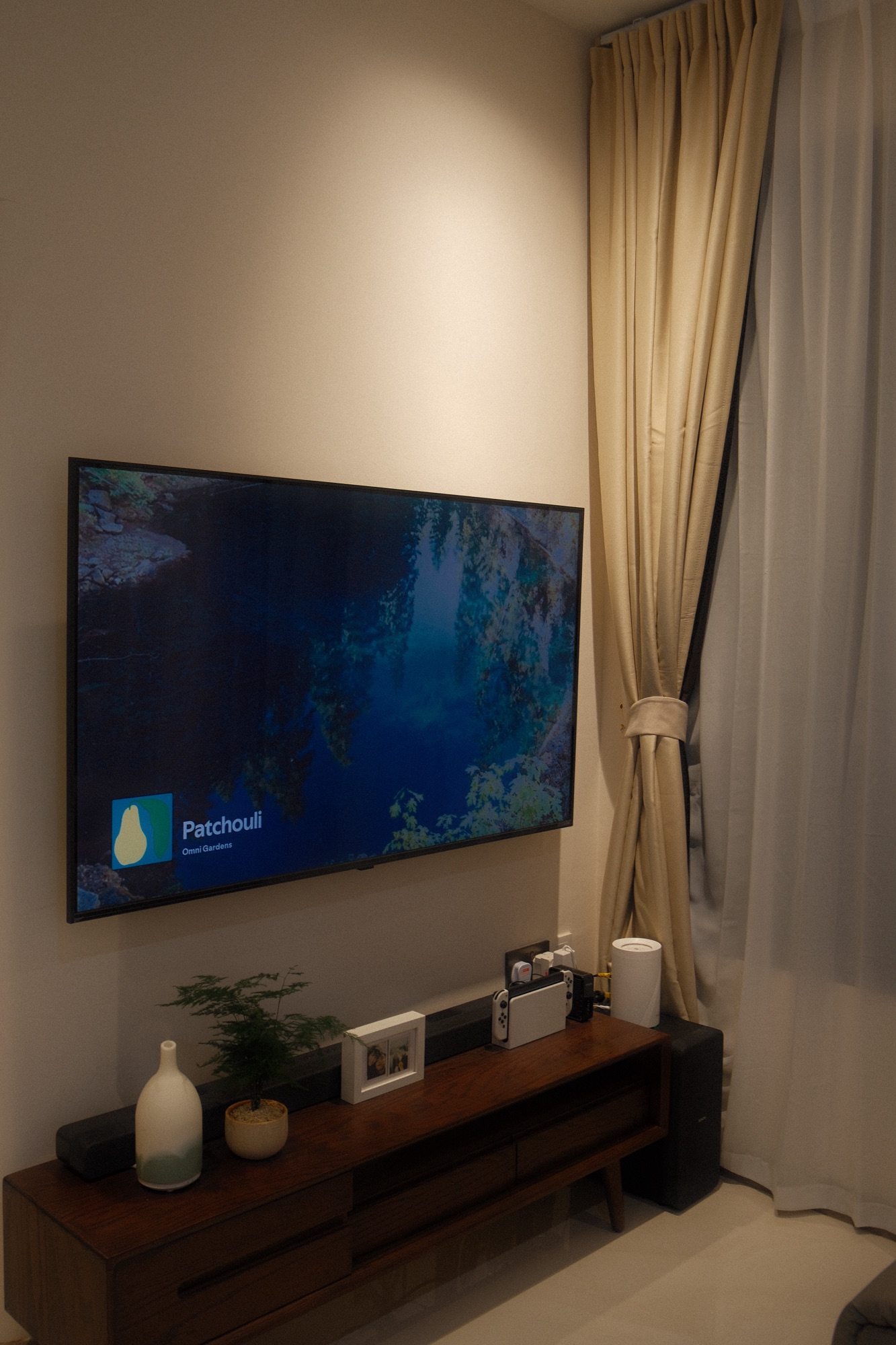 A little new addition to spice up our living area! 🌿