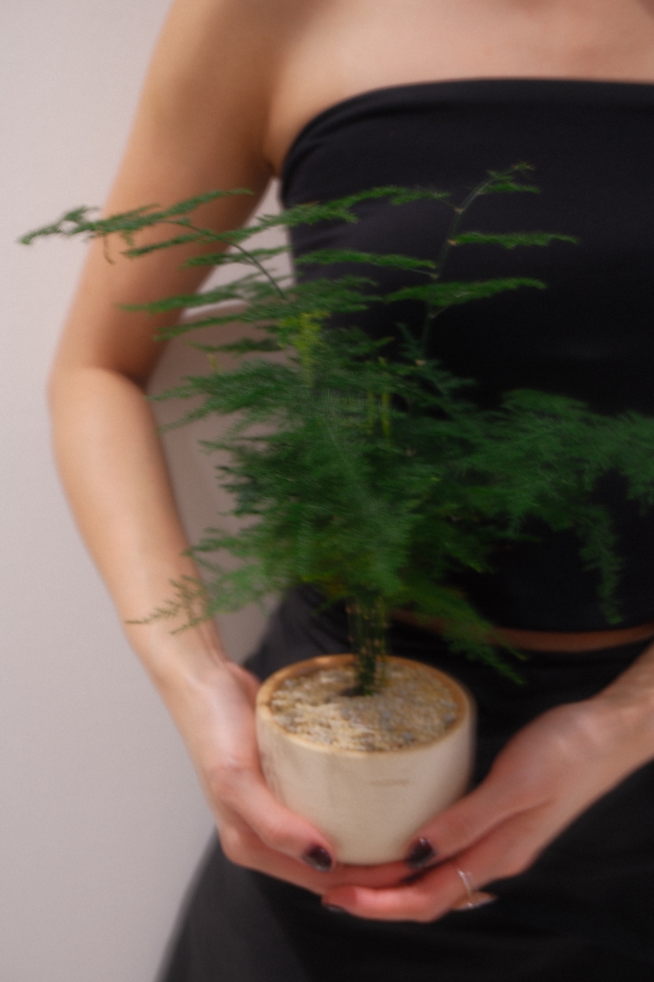 A little new addition to spice up our living area! 🌿