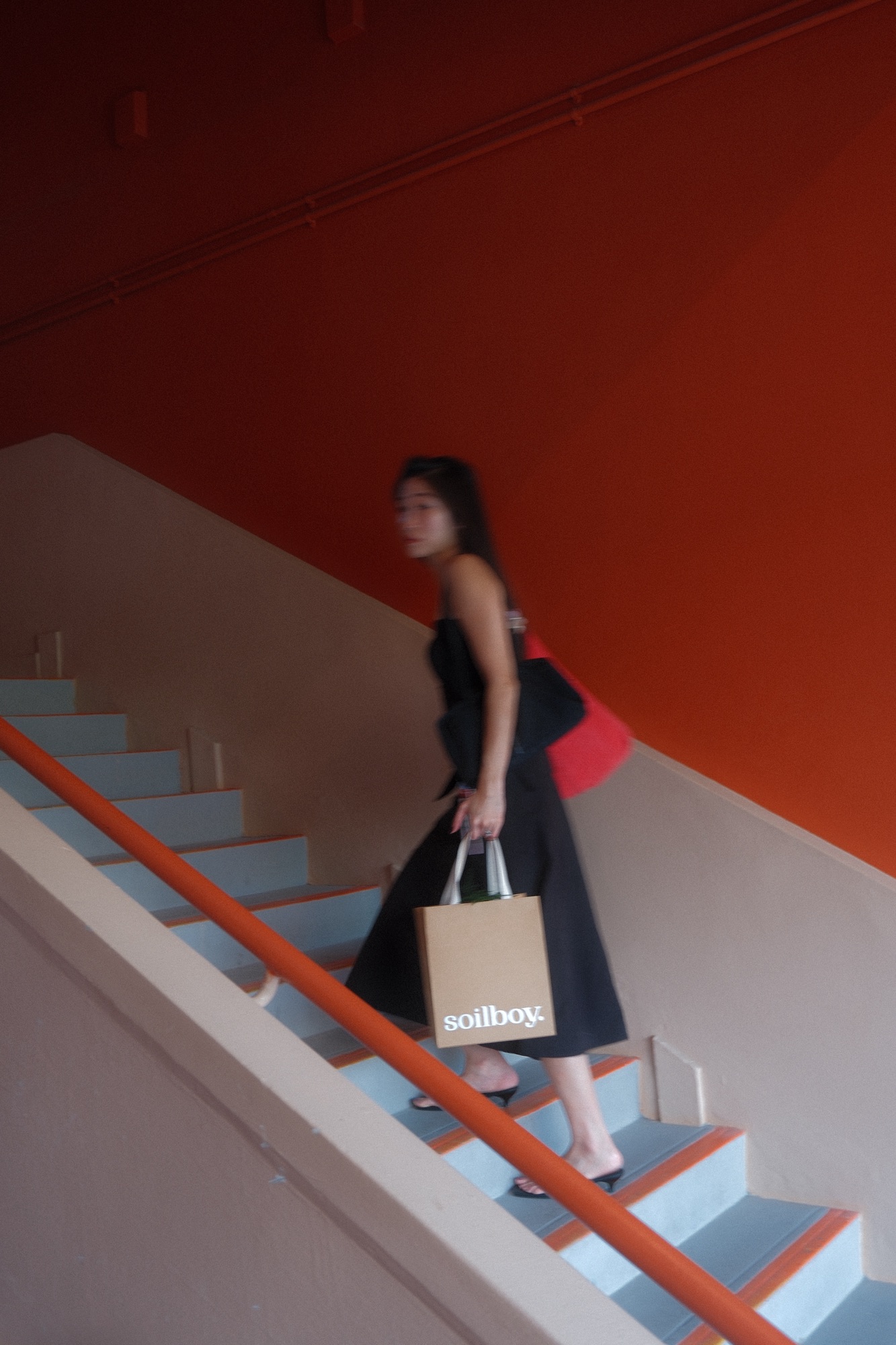 A little new addition to spice up our living area! 🌿