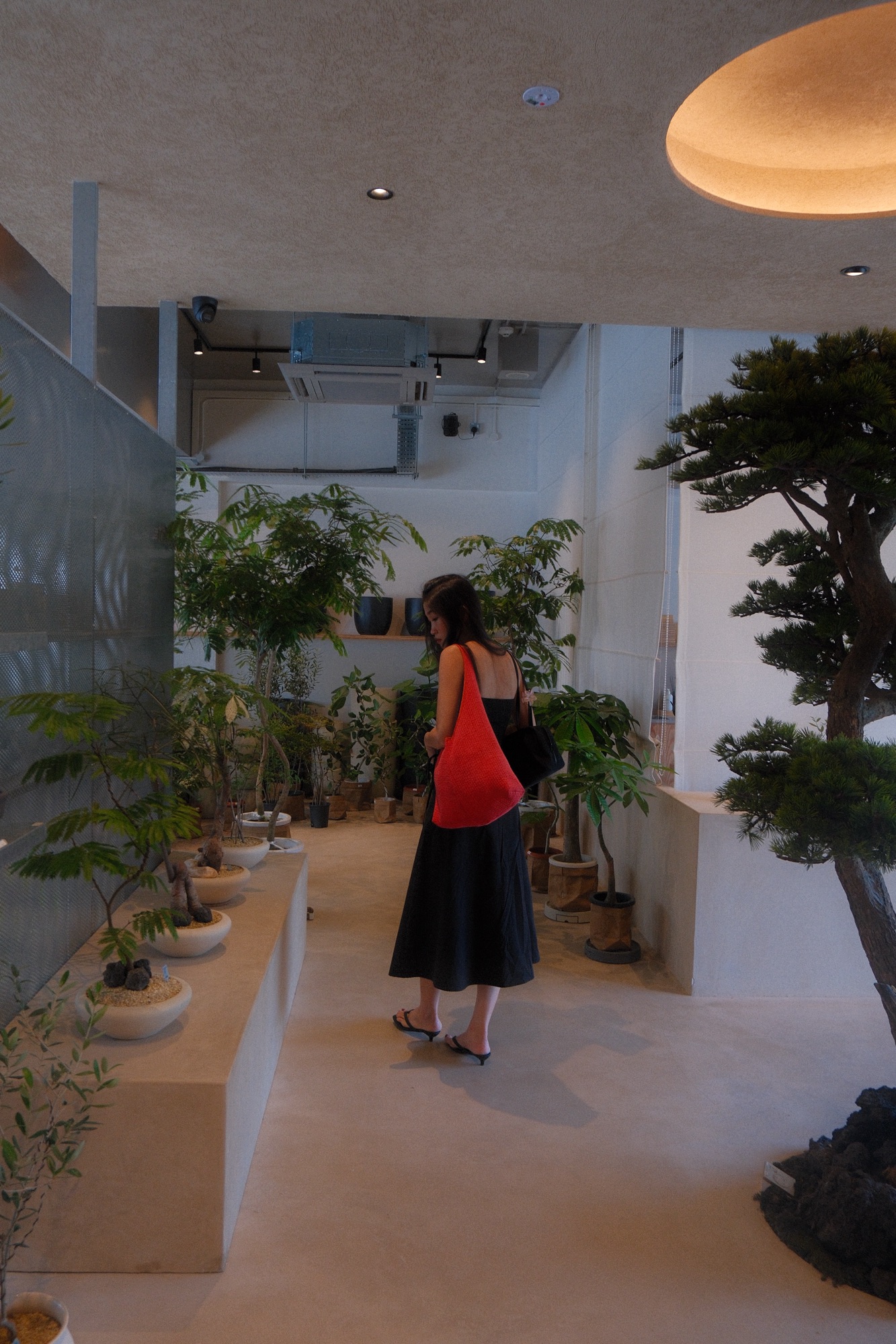 A-little-new-addition-to-spice-up-our-living-area!-🌿