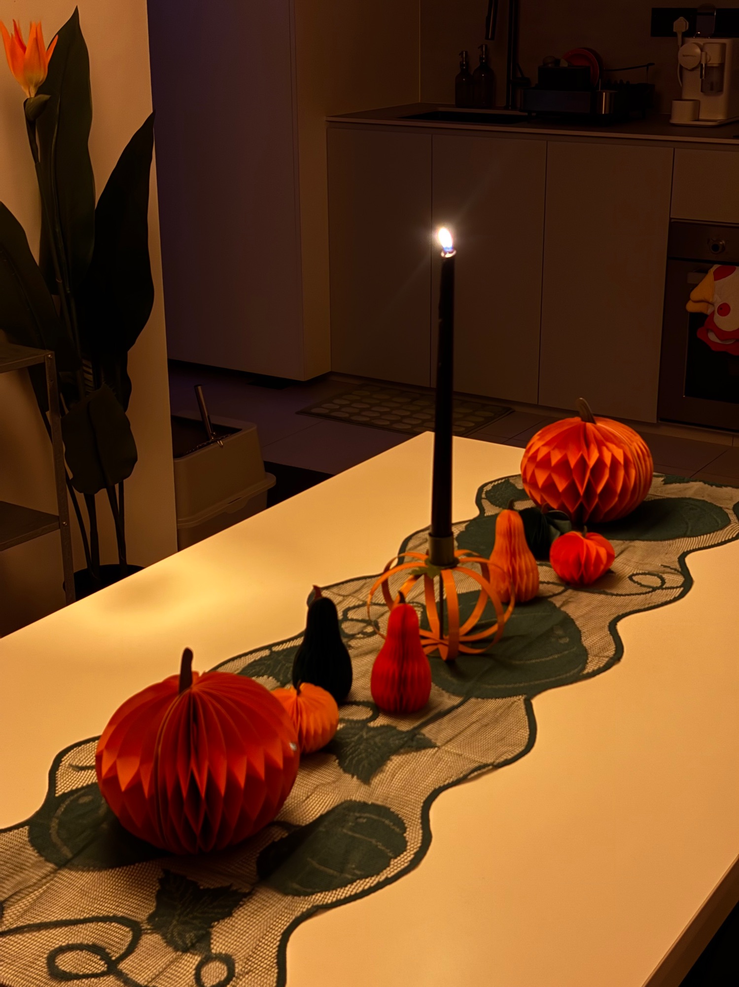 BOO Season 11! 👻🎃